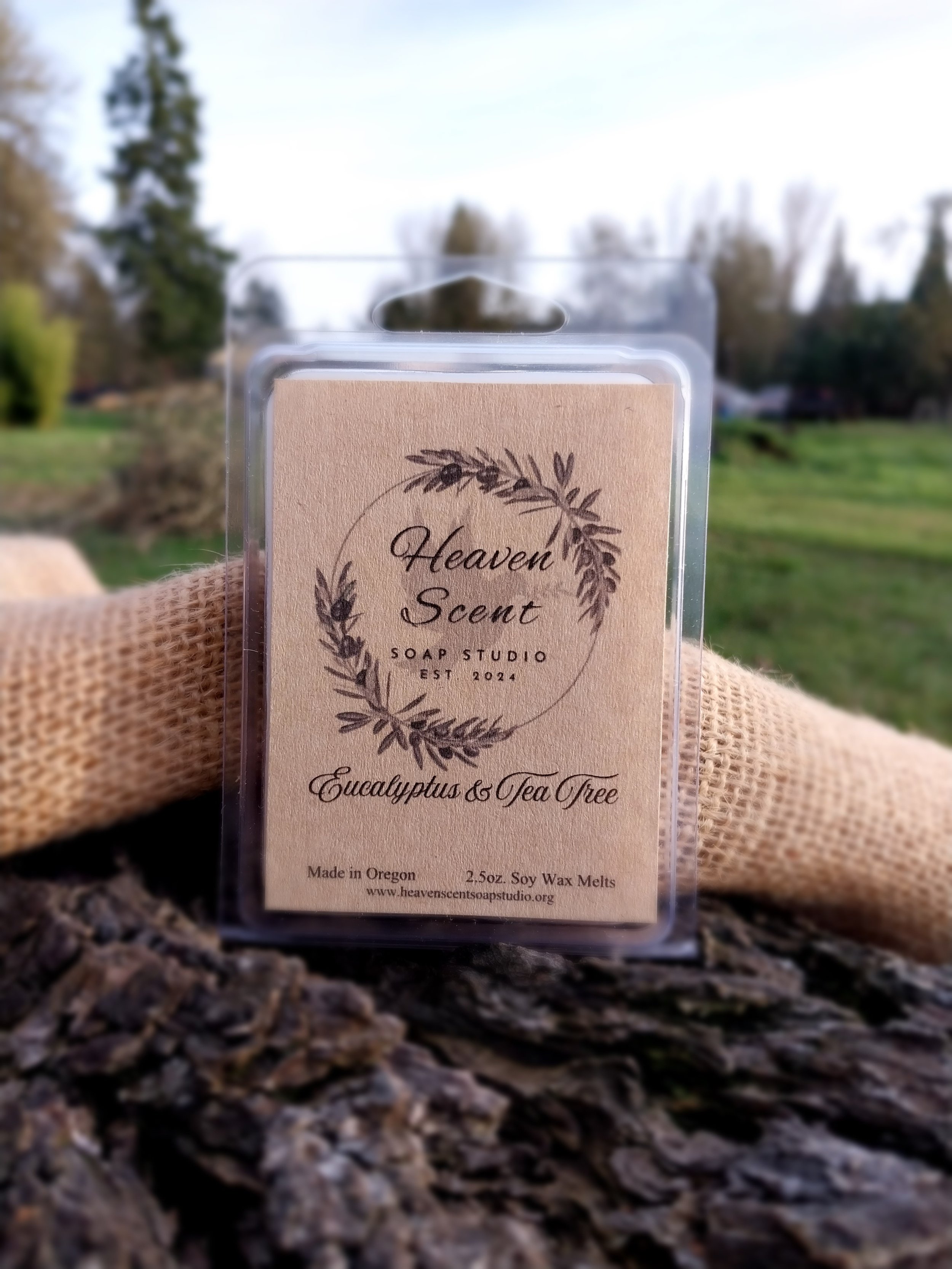 Euc.TeaTree-2.5oz Wax Melt pic.jpg