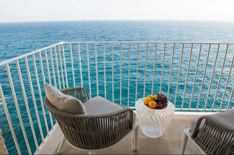 🍇🫐🍊 #oppulensse 

#opulence #lifestyle #luxurylifestyle #luxurylife #realstate #realtor #ocean #travel