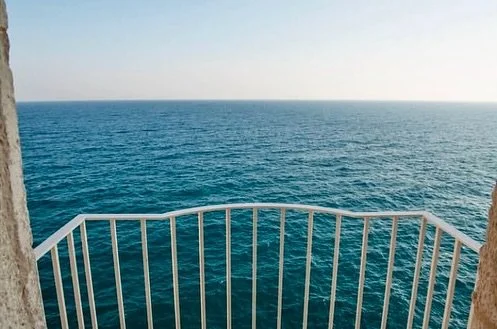 #oppulensse 

#realstate #realtor #opulence #ocean #lifestyle #luxurylife #italy #art #architecture #travel