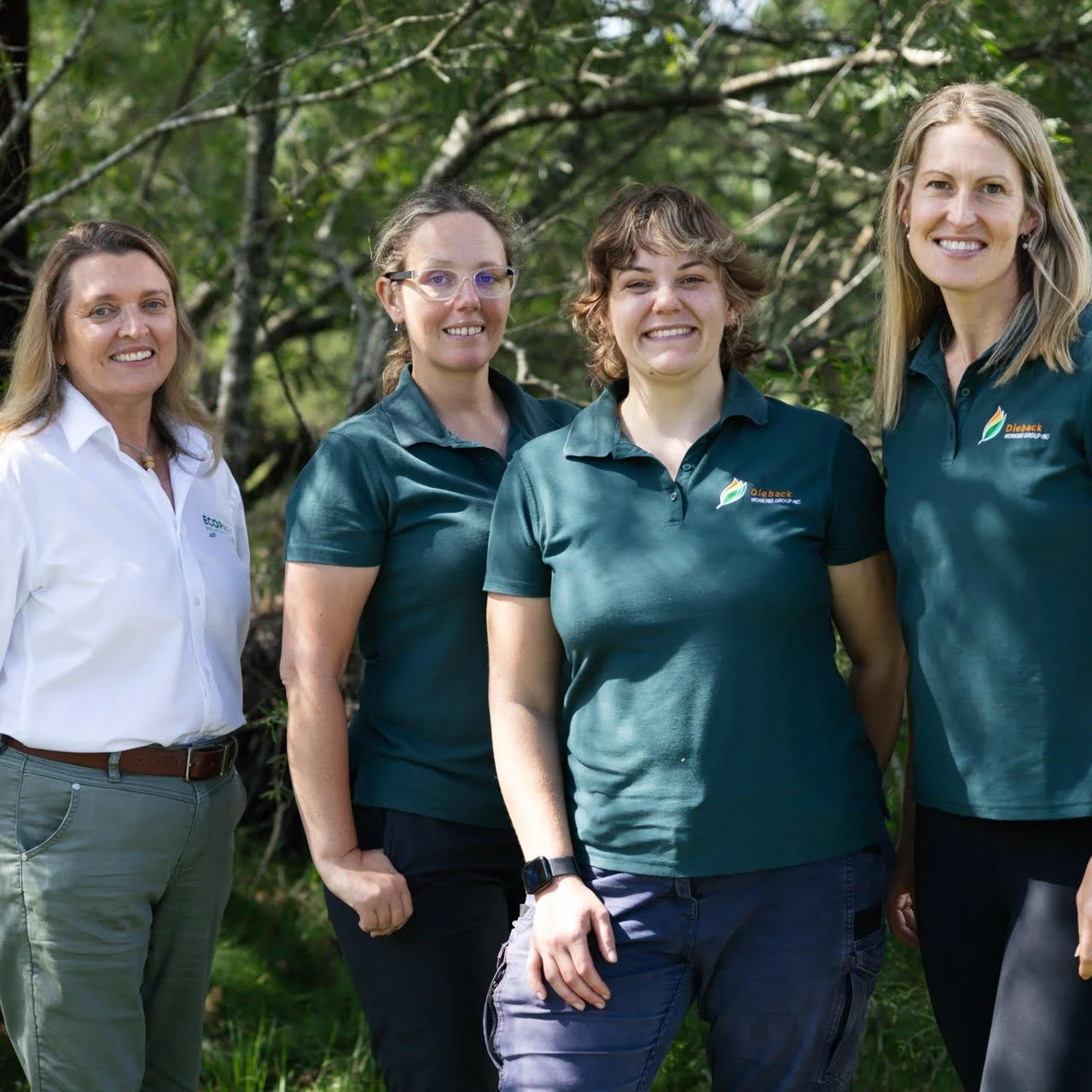 A rewarding day yesterday at the Dieback Working Group Green Card Workshop with Blue Mountains City Council 🌿@bluemountainscitycouncil 

Great to connect with Mia Townsend (DWG CEO) @diebackworkinggroup, Pip Soulsby (Senior Project Manager), and Tes