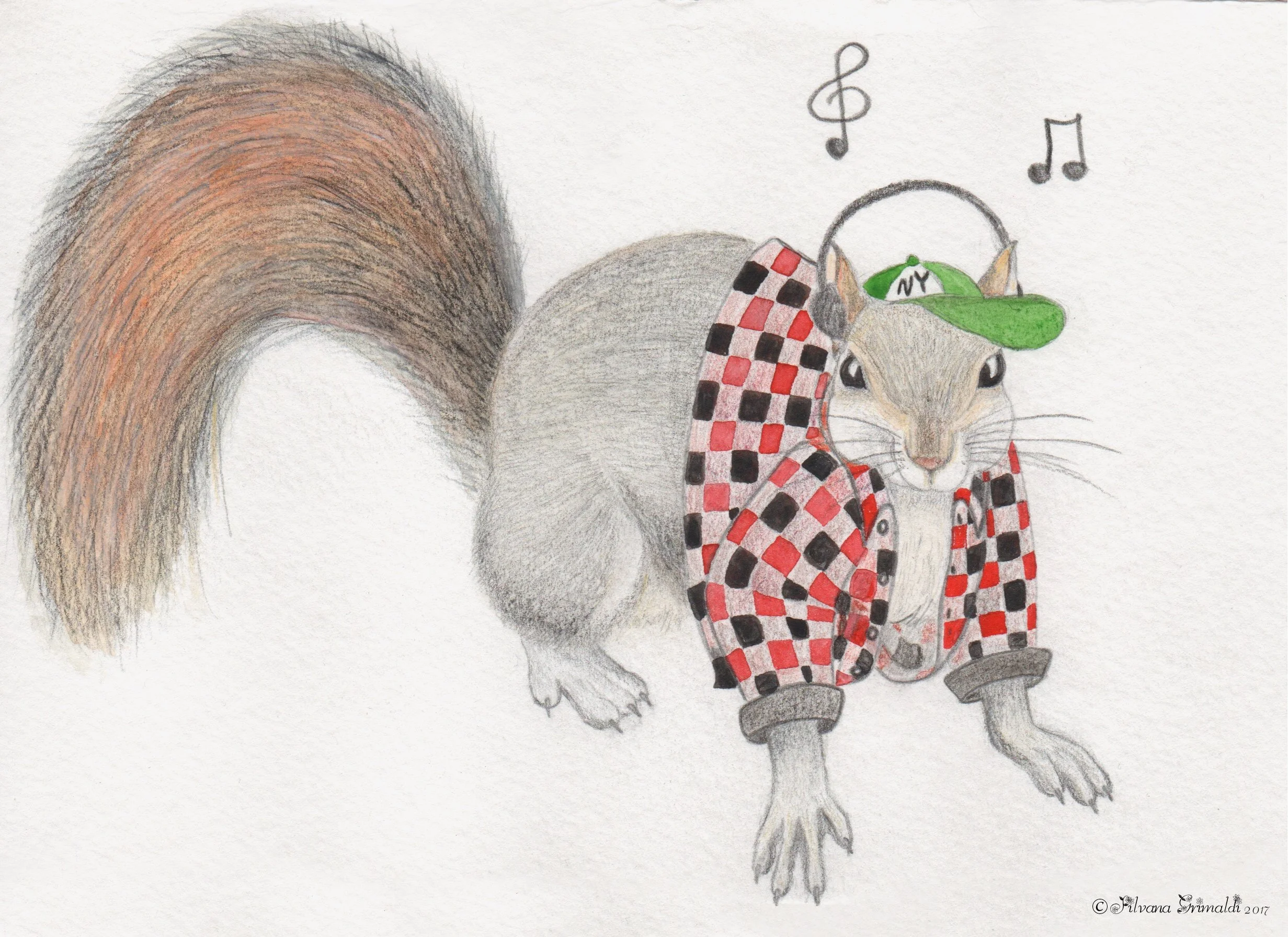 Illustrazione sullo scoiattolo grigio.
