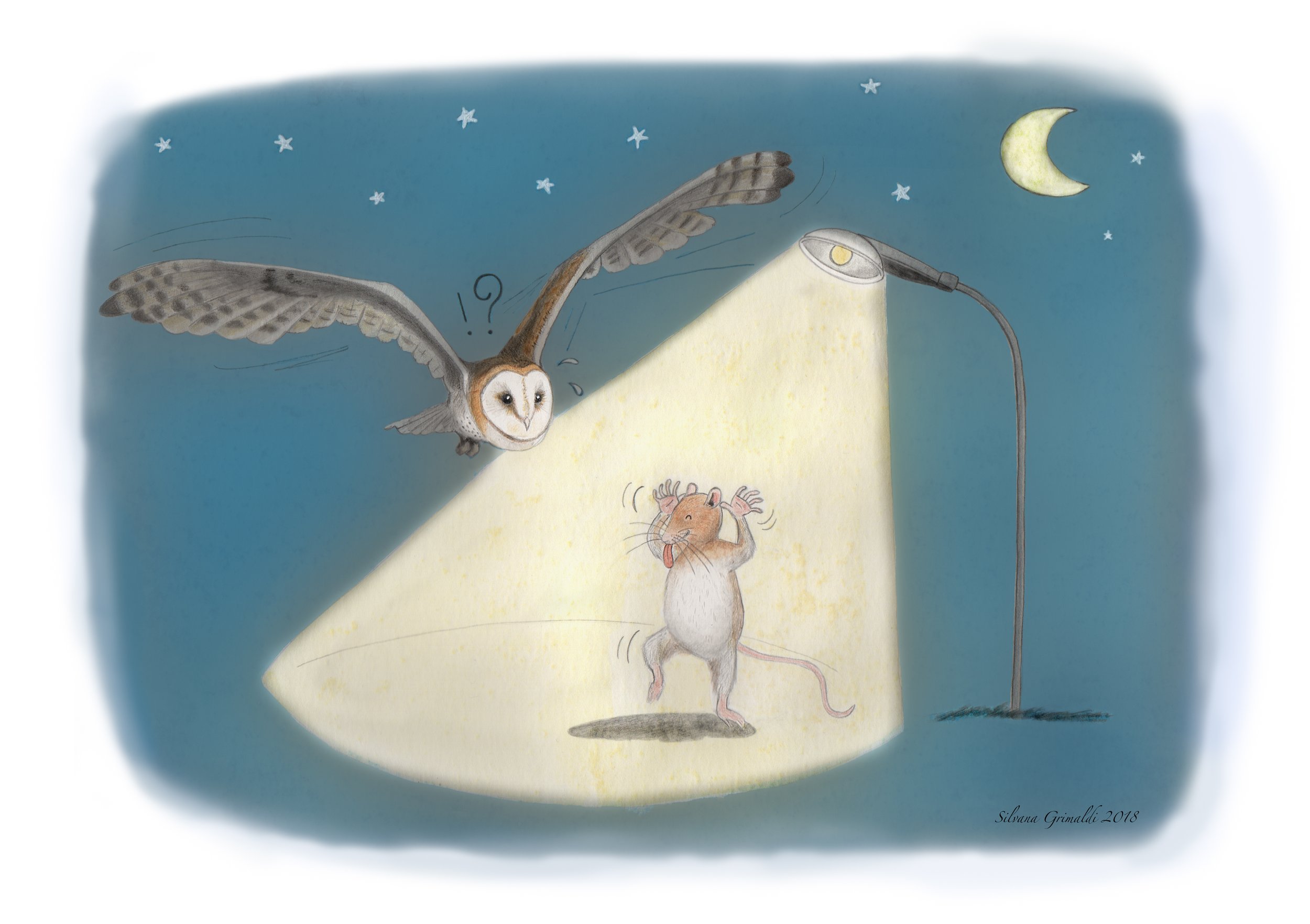 Illustrazione sul barbagianni.