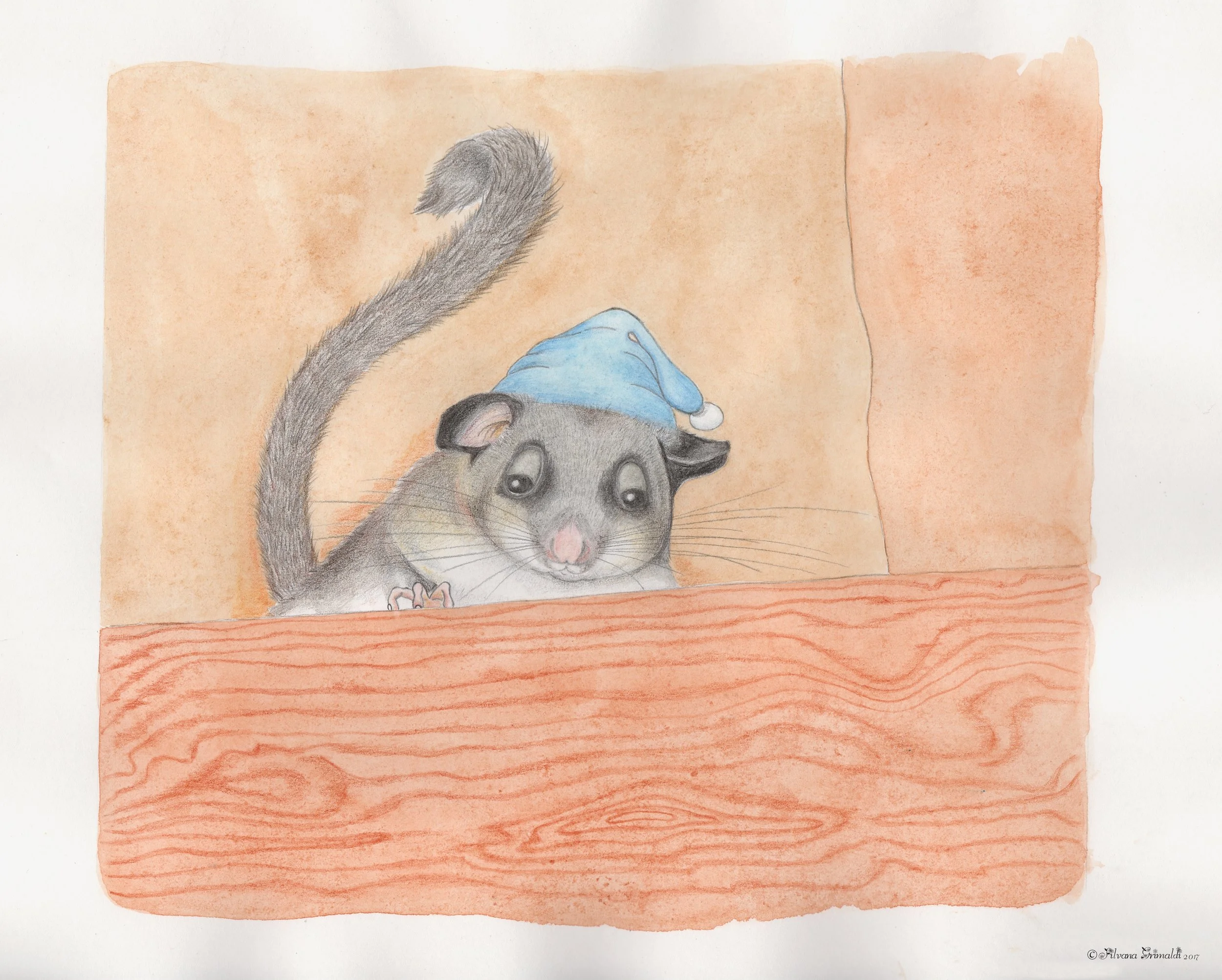 Illustrazione sul ghiro.