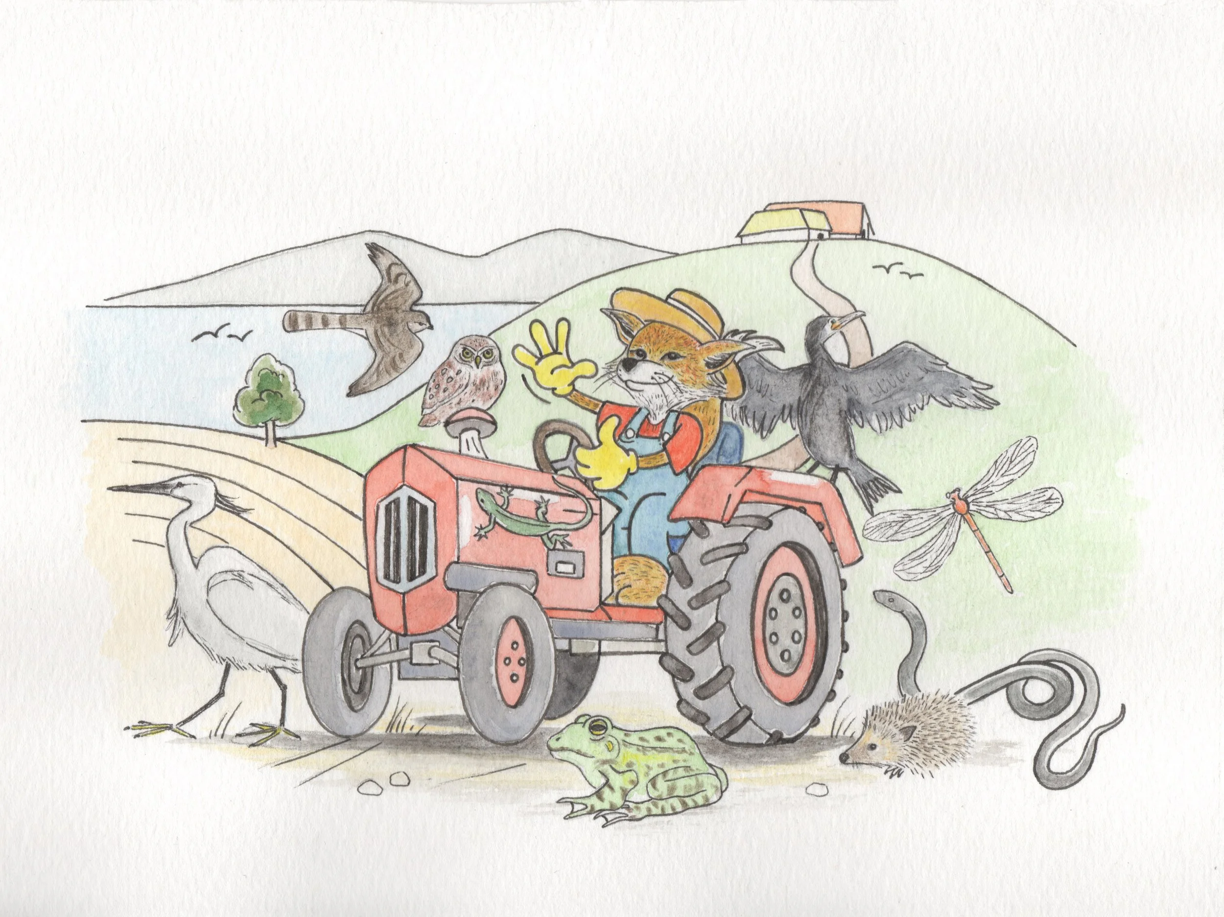 Illustrazione per l'Oasi WWF di Campolattaro BN