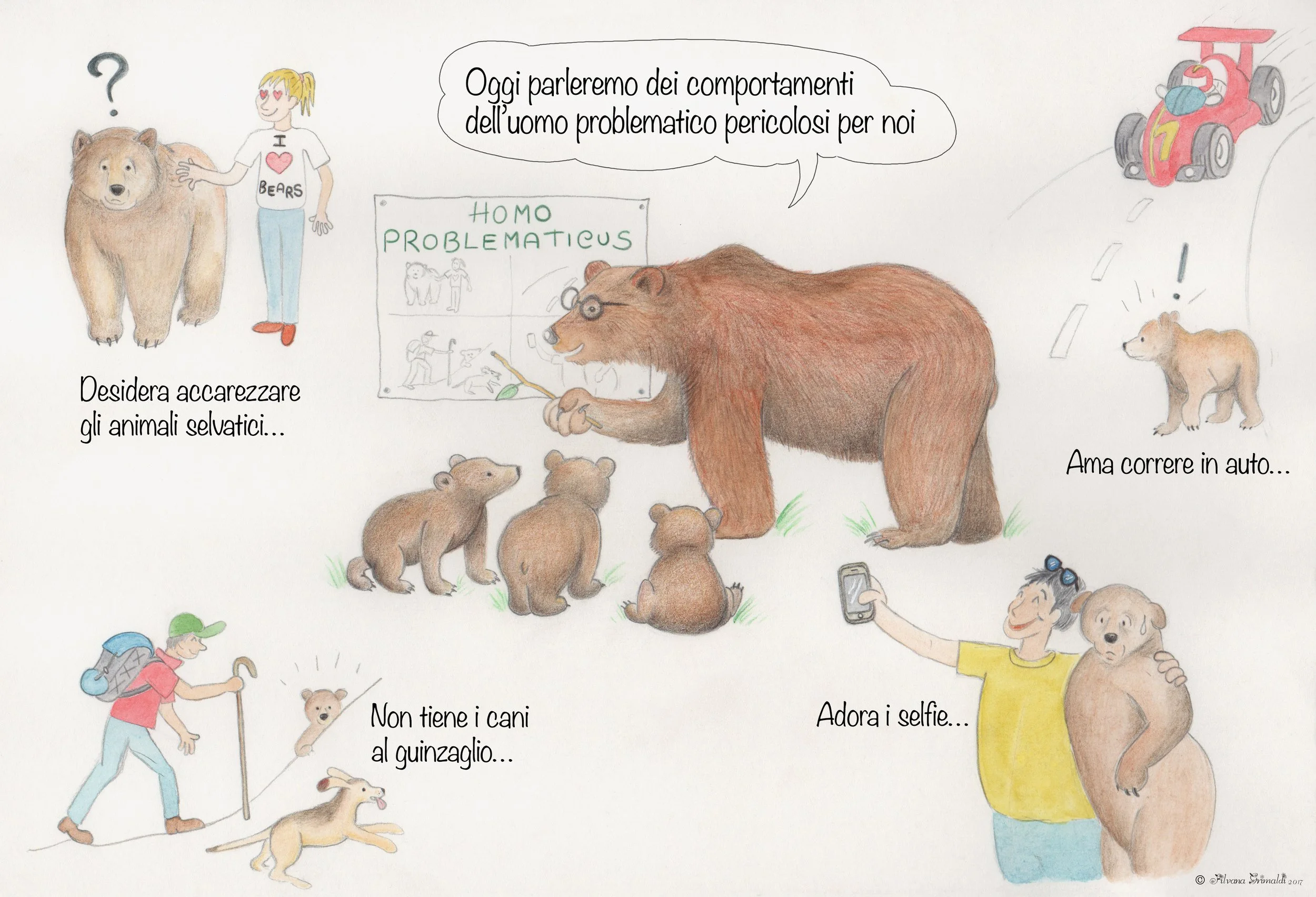 Illustrazione sull'orso.