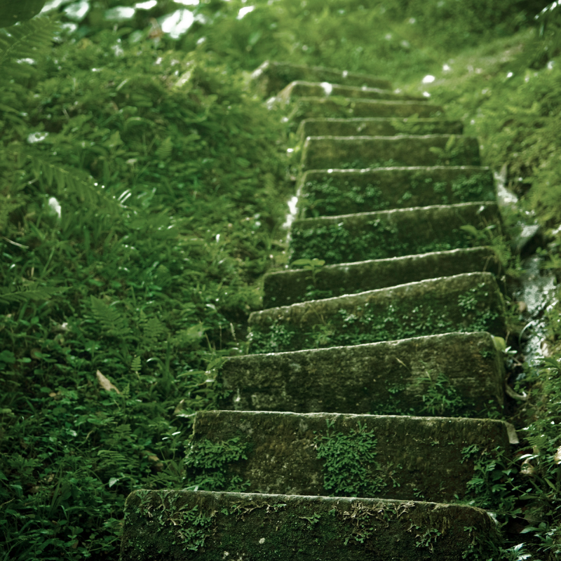 When Fear Meets Opportunity 