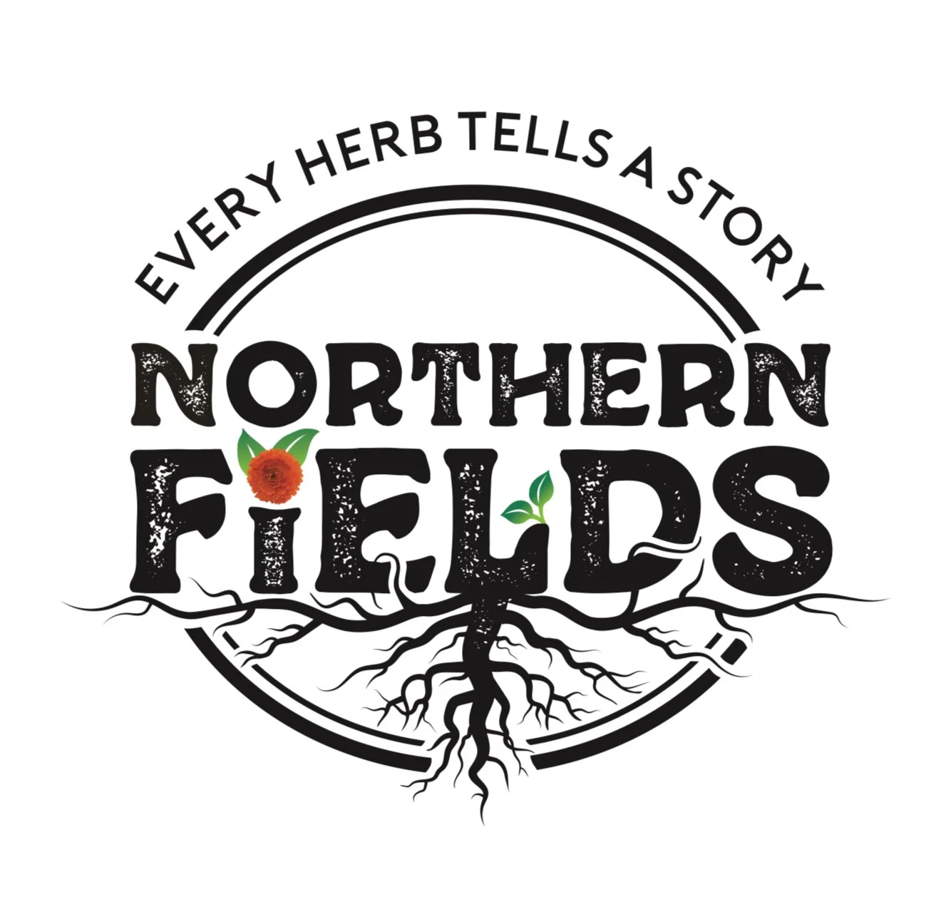 NORTHERN FIELDS
