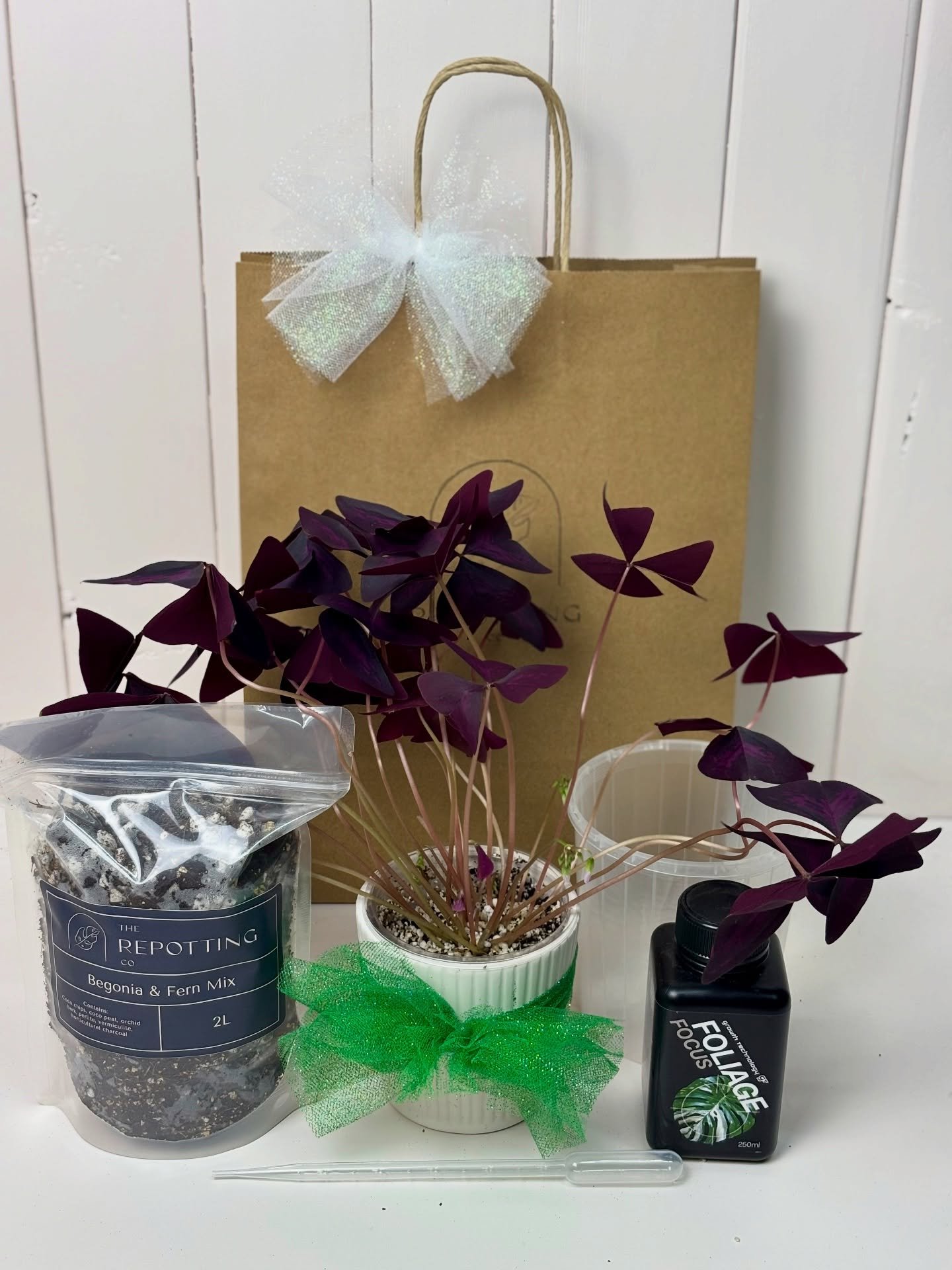 Give the gift of growth this year 🌱✨

If plants have taught me anything, it&rsquo;s patience, resilience, and how rewarding it is to watch something thrive with a little love. So this Christmas, why not give a gift that keeps growing?

Introducing o