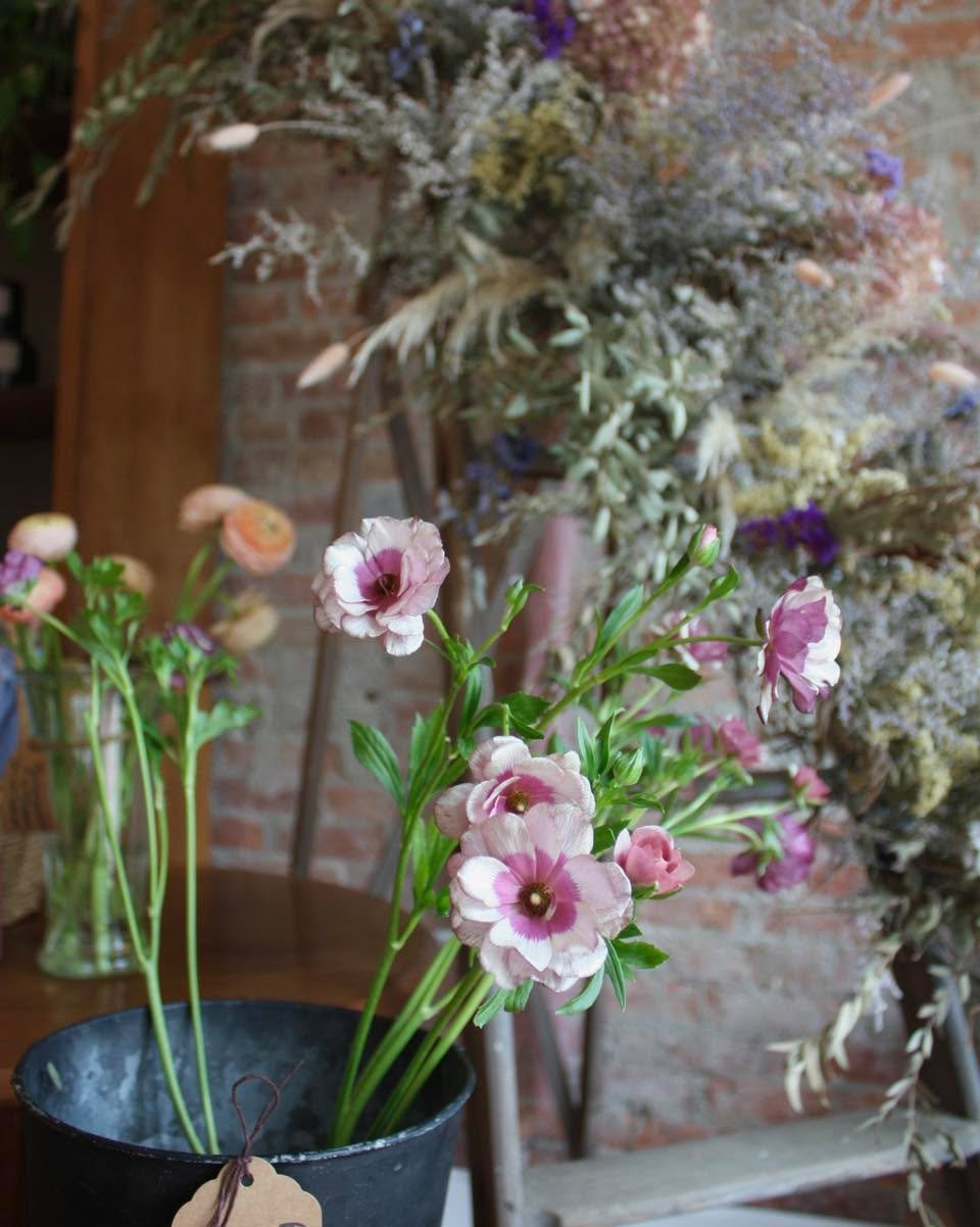 Choosing the flowers we have in stock each week is one of my favorite things! This beauty is a butterfly ranunculus with the name &ldquo;Magical Raspberry&rdquo;! 😍 

#floraldesign #floralstilllife #FloralVibes #Floral #ranunculus