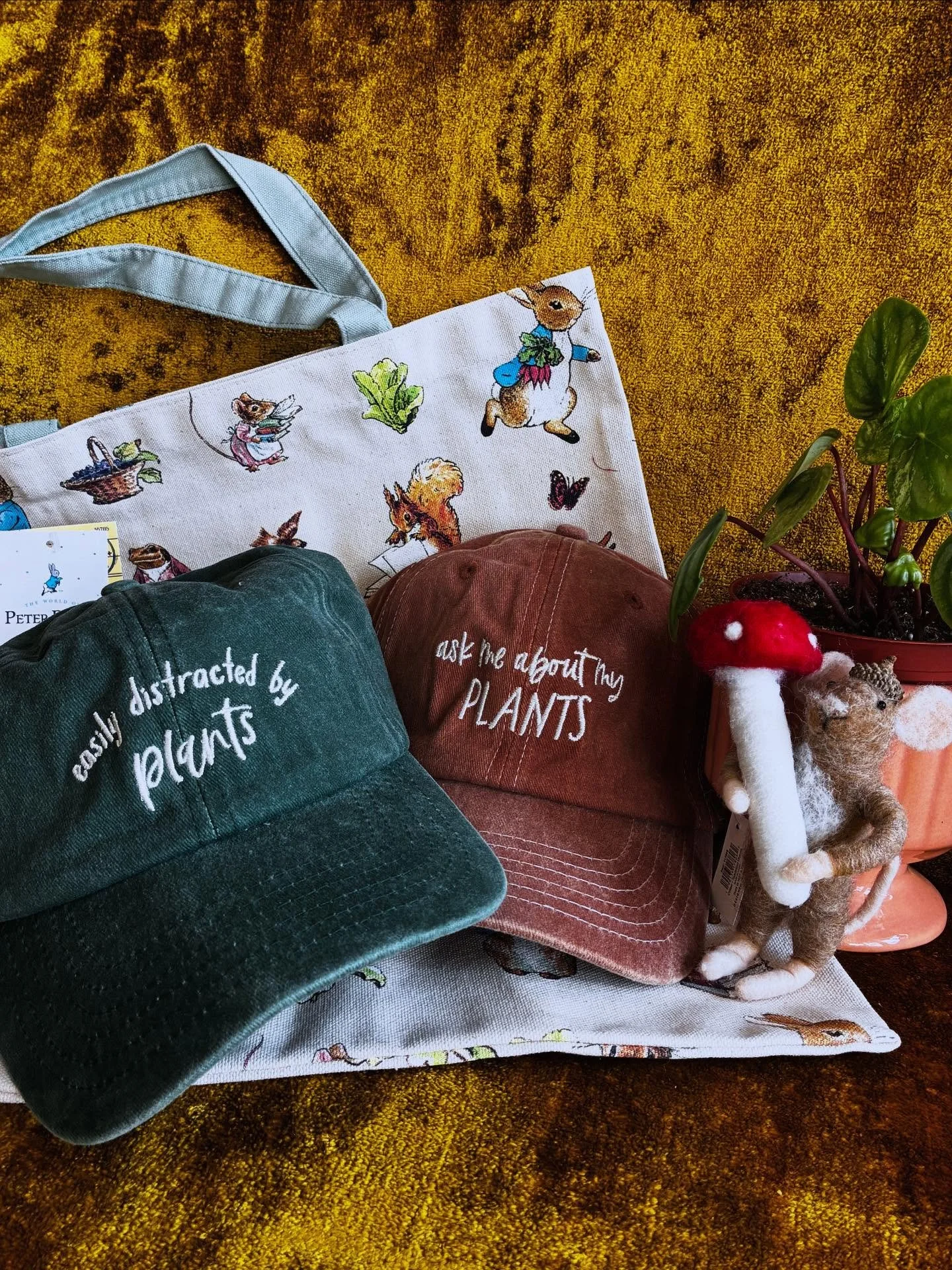 This little mouse wanted me to let you know that we have some new merchandise in the shop 🐭🍄✨🪴

#houseplants #beatrixpotter #cottagecoreaesthetic #smallbusiness #shoplocal