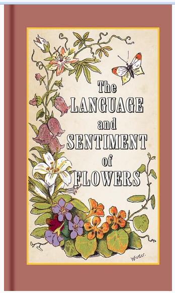 Screen Shot 2026-02-16 at 3.02.17 PM.png