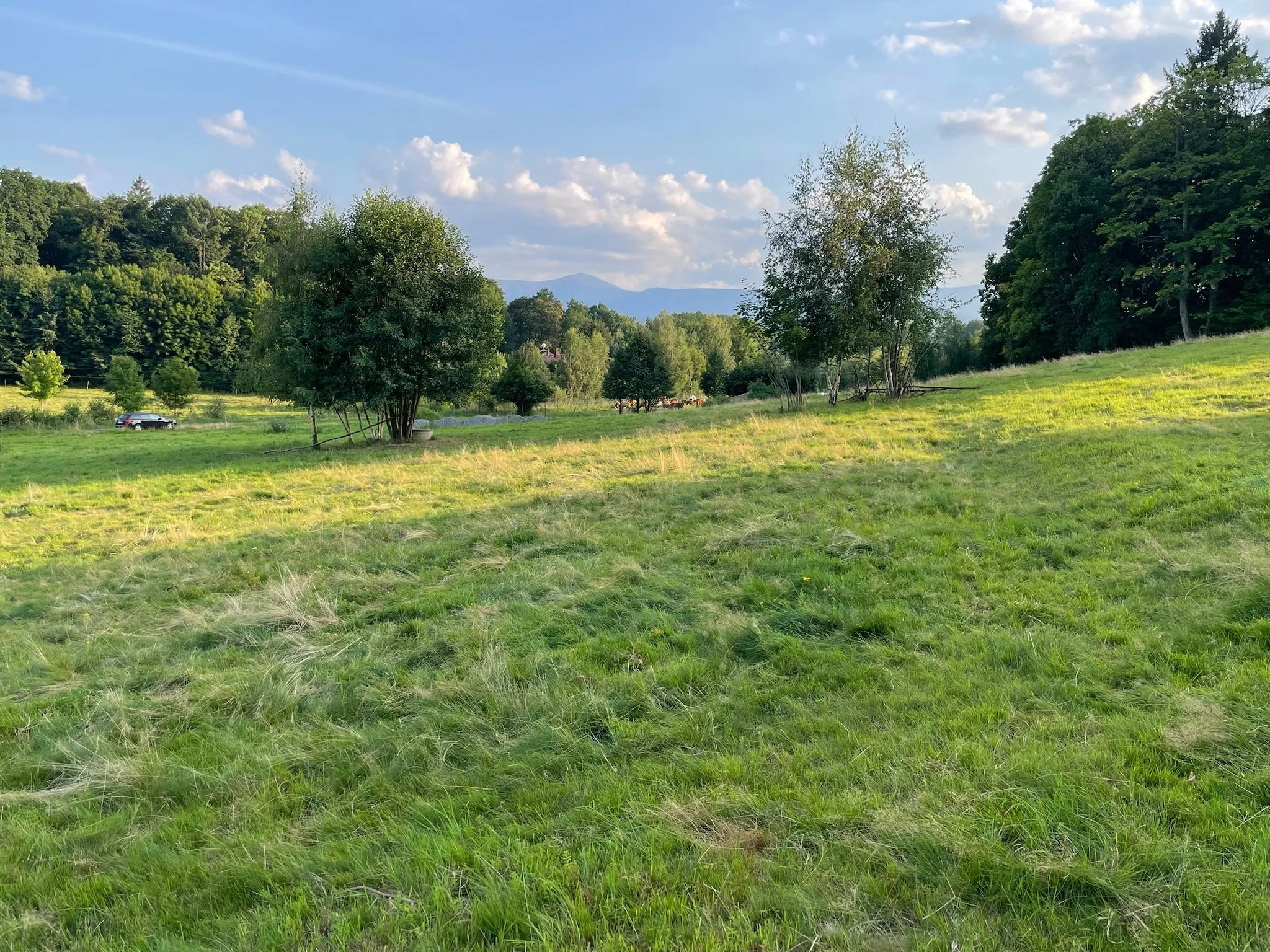 Blick auf die Schneekoppe im Riesengebirge
