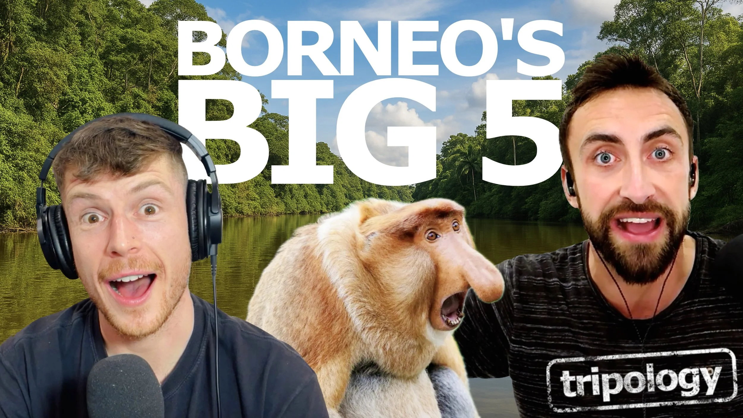 Kinabatangan River Adventure: Seeing Borneo's Big 5 on a Budget