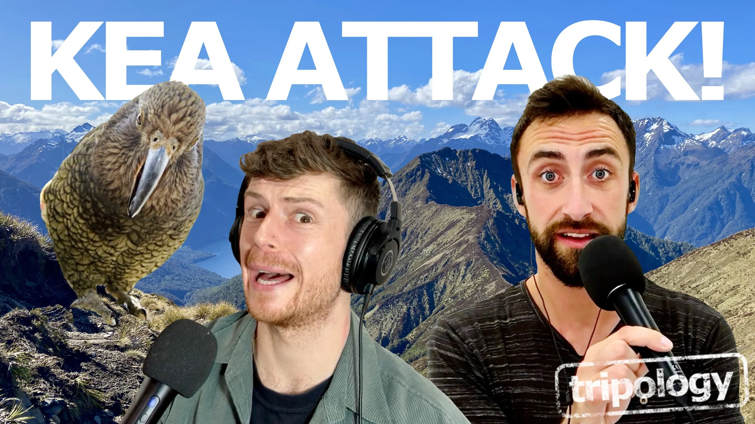 Kea Attack on the Kepler Track!