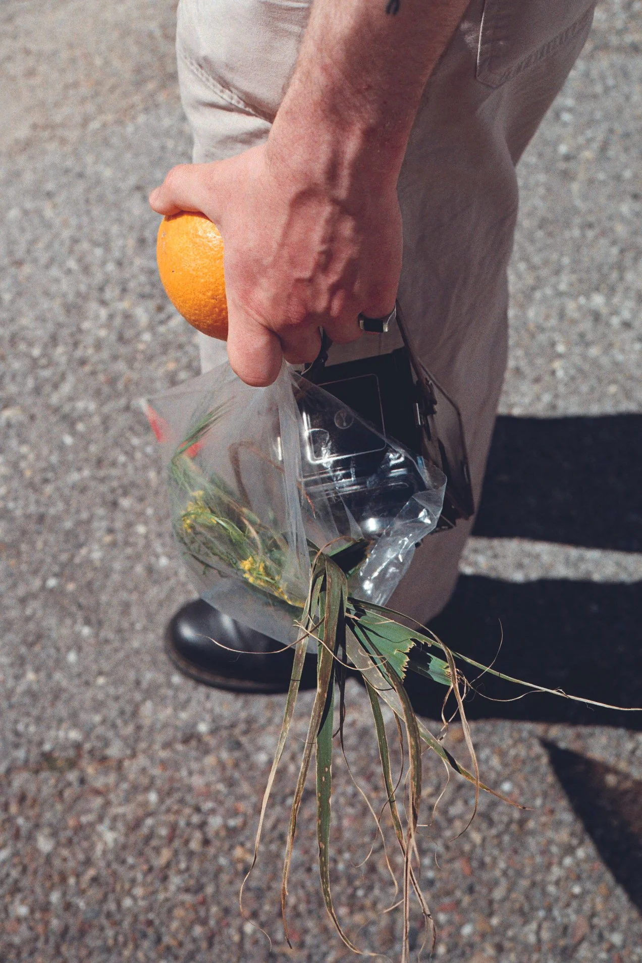 PORTFOLIO_Chamusca_Aurelie van Herk_13.jpg