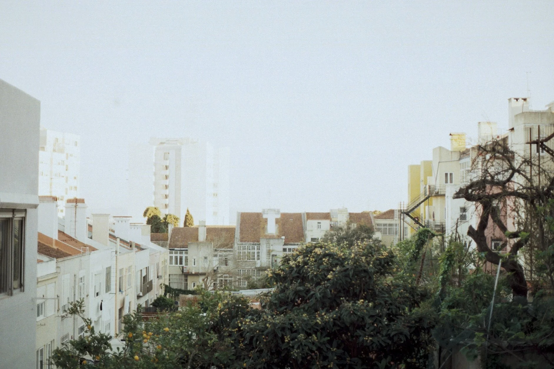 PORTFOLIO_Chamusca_Aurelie van Herk_7.jpg