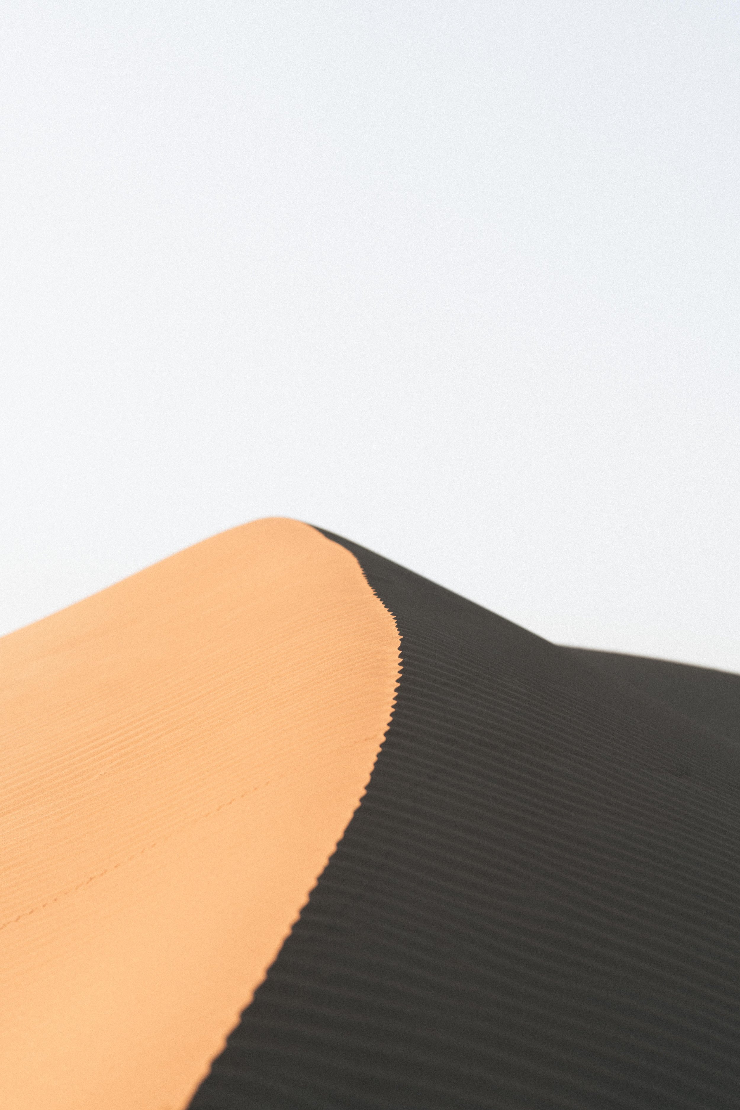 _DSC7267.jpeg