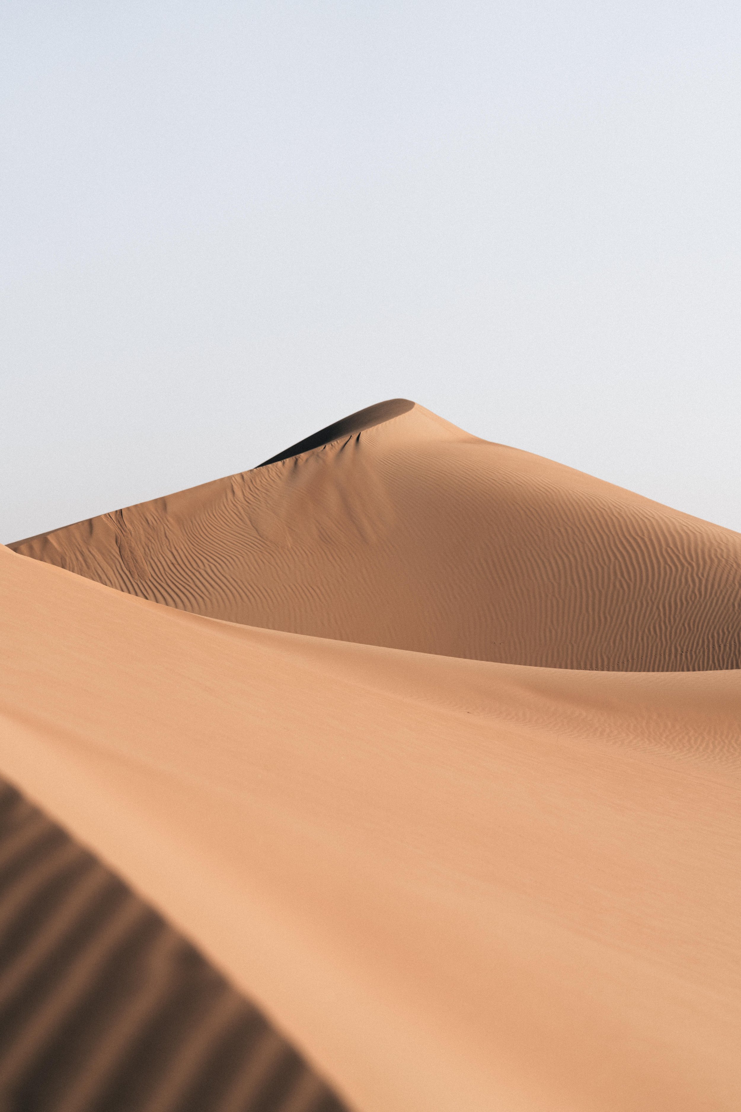 _DSC6678.jpeg