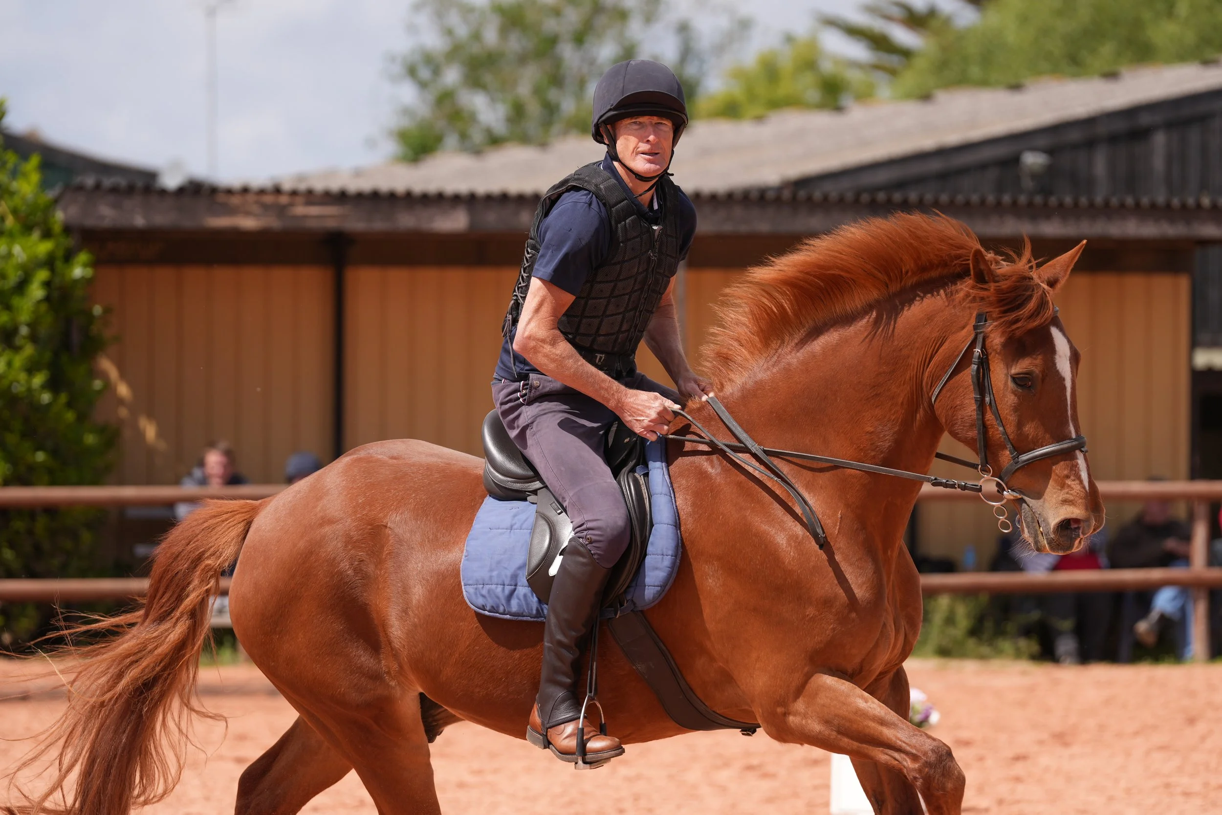 Equine Portfolio-1 2.JPG