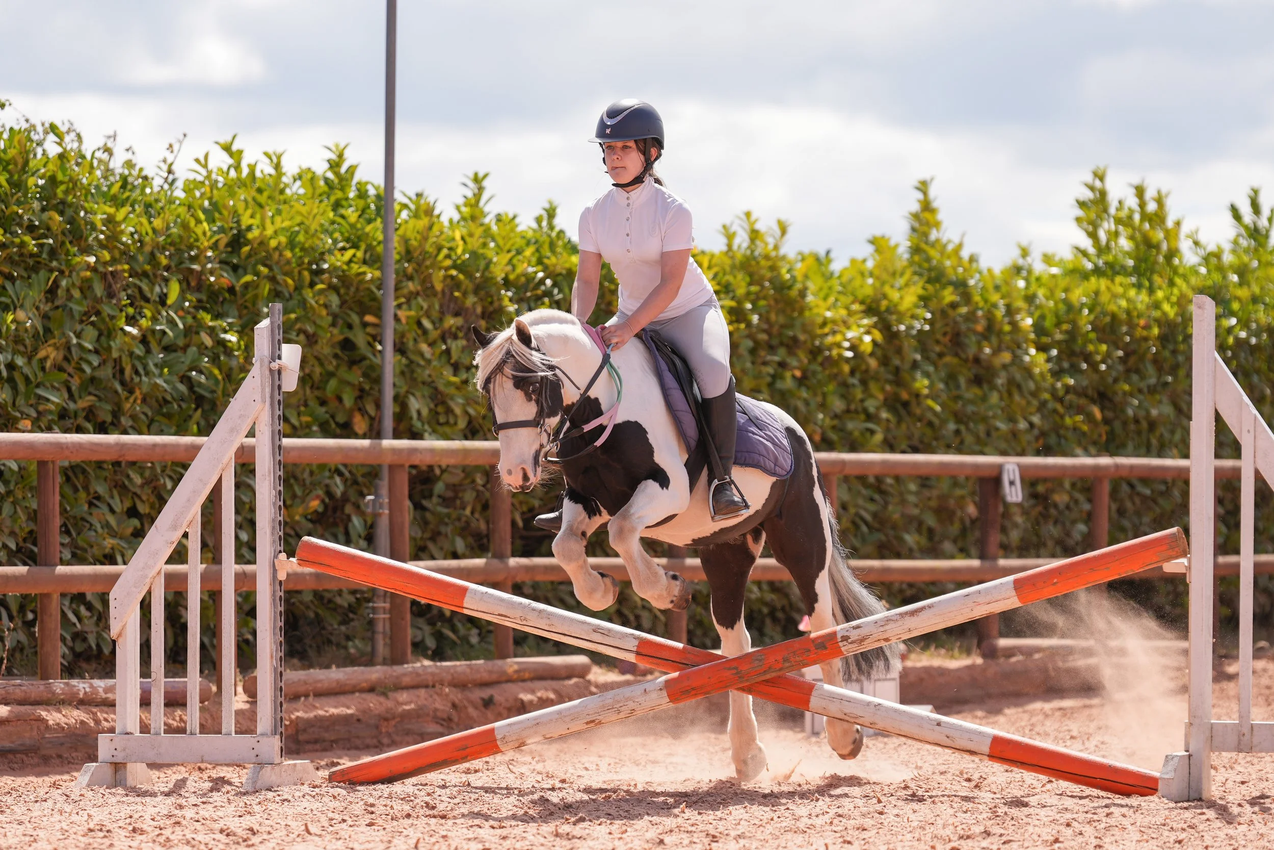 Equine Portfolio-6.jpg