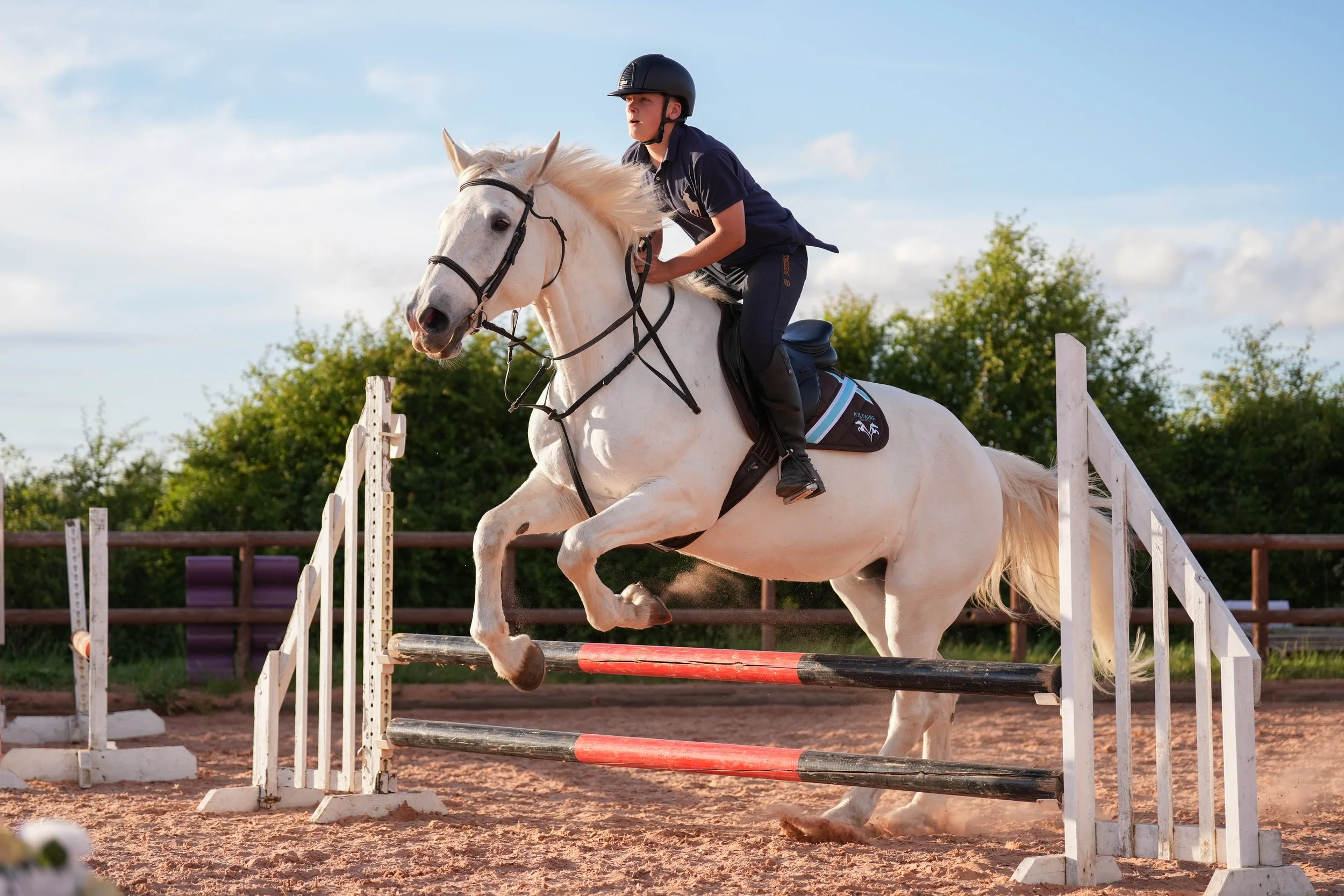 Equine Portfolio-5 3.JPG