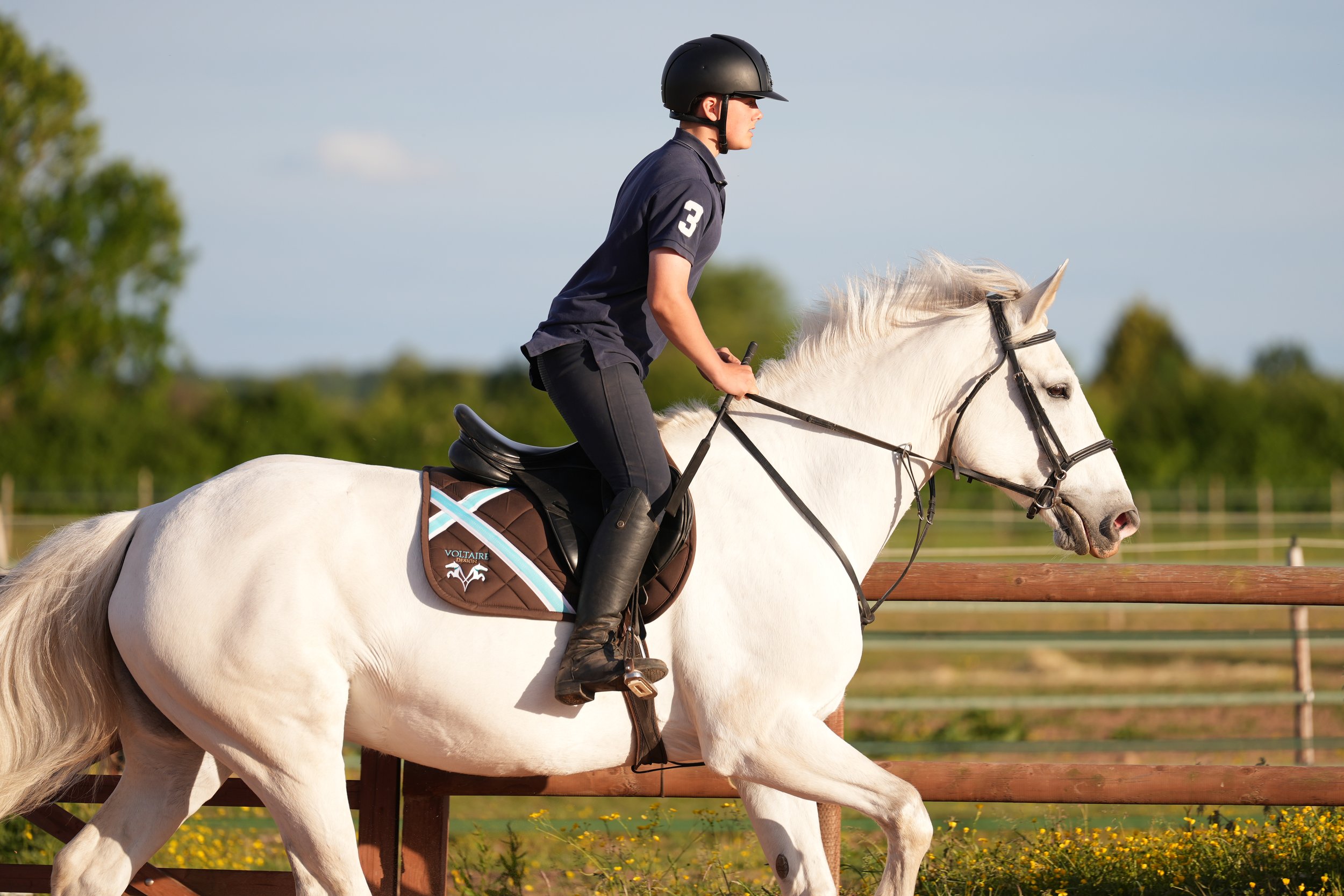 Equine Portfolio-5 2.JPG