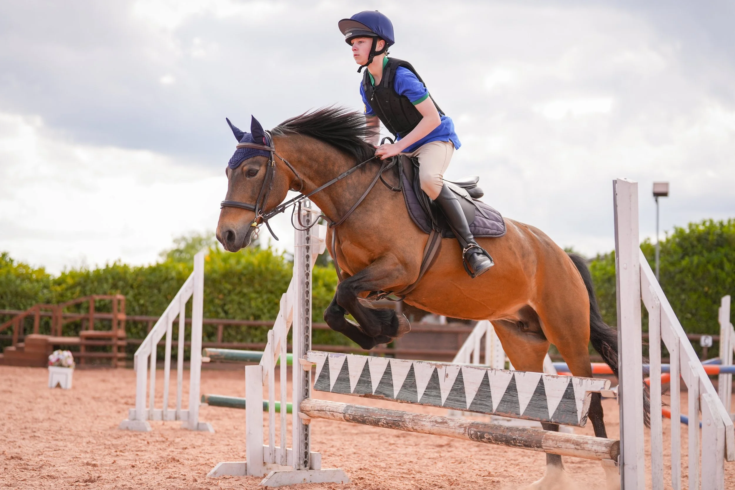 Equine Portfolio-3.JPG