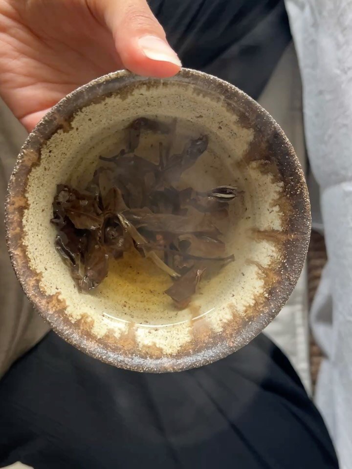 morning ritual in my living room sitting with leaves in a bowl like I did a few years ago. 
Felt a little bit nostalgic to enjoy tea in this simple set up, remembering beginner&lsquo;s mind, my first tea high,  my first time hosting a tea ceremony fo