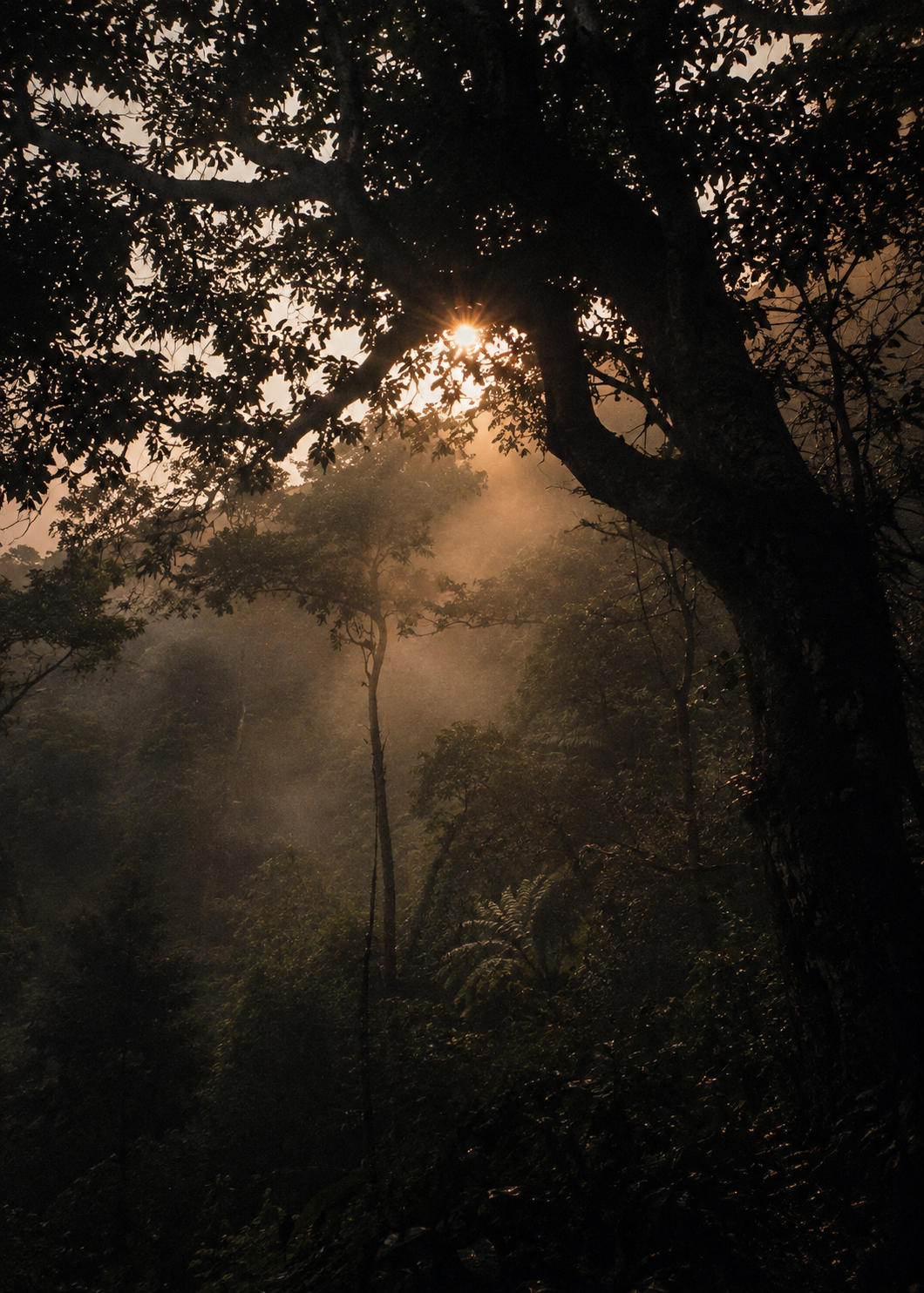 71CC6F87-F9BD-4F0D-ACDF-9661E46F87C8.PNG