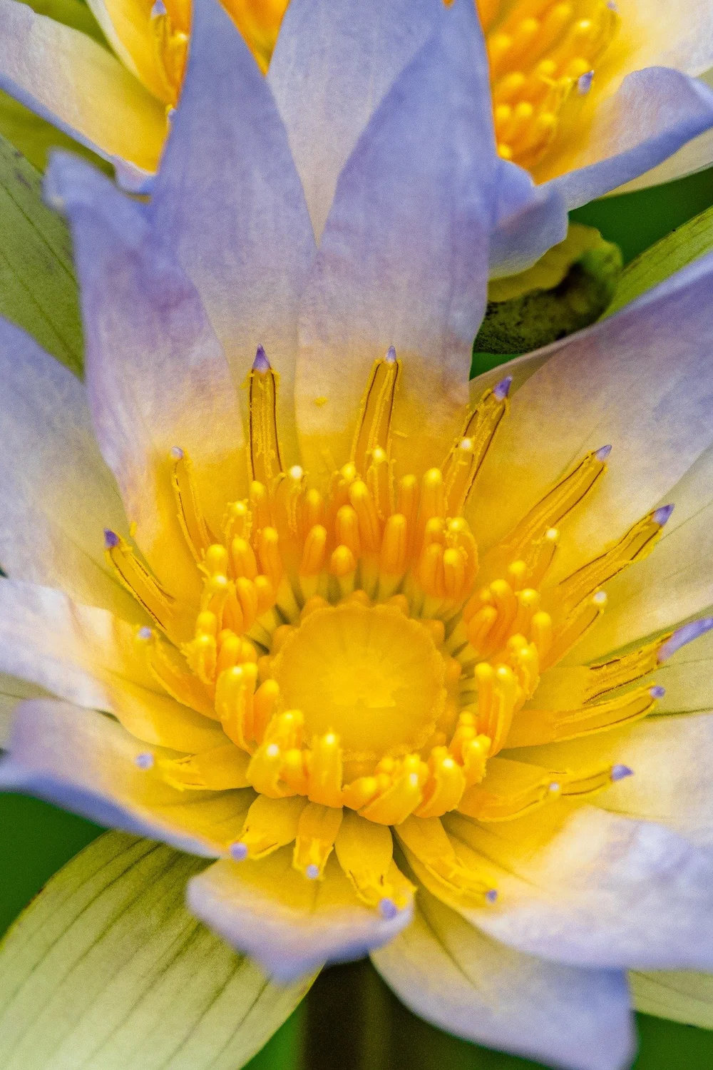 About Southeast Texas Psych about-southeast-texas-psych