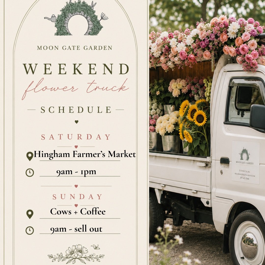 Two very different stops. One very fun weekend. 🌸☕️🐄

Here&rsquo;s where to find the flower truck this weekend:

🌸 SATURDAY | Hingham Farmers Market
9am&ndash;1pm
Come build a bouquet, grab some flowers for the weekend, and say hi!

🐄 SUNDAY | Co
