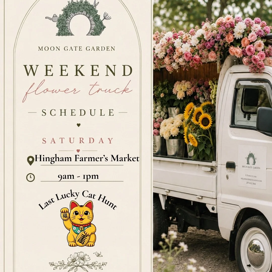 One last hunt! 🐱✨🌸

We&rsquo;re wrapping up August with our final Golden Lucky Cat Hunt of the summer!

Find us this Saturday at:

📍 Hingham Farmers Market
⏰ 9 AM&ndash;1 PM
🌸 Build-your-own bouquets + fresh seasonal flowers

And keep your eyes o