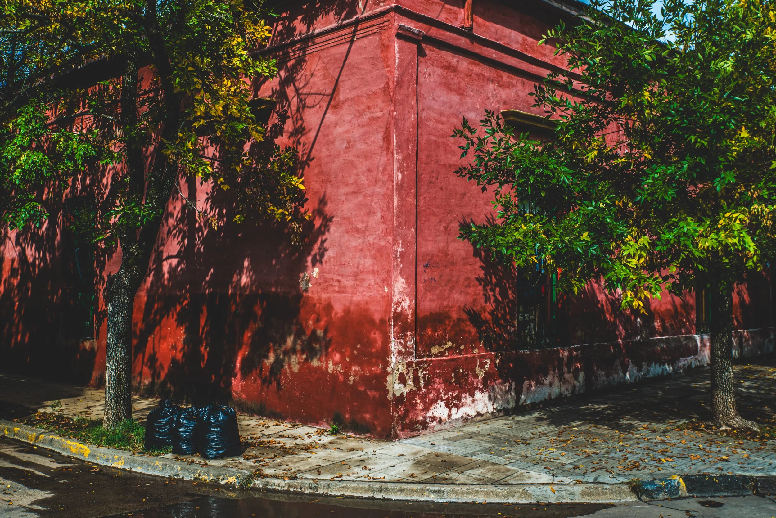 Esquina de un muro alto de cemento rojo con árboles a cada lado, representando la sensación de estar encerrado y sin motivación característica de la depresión.