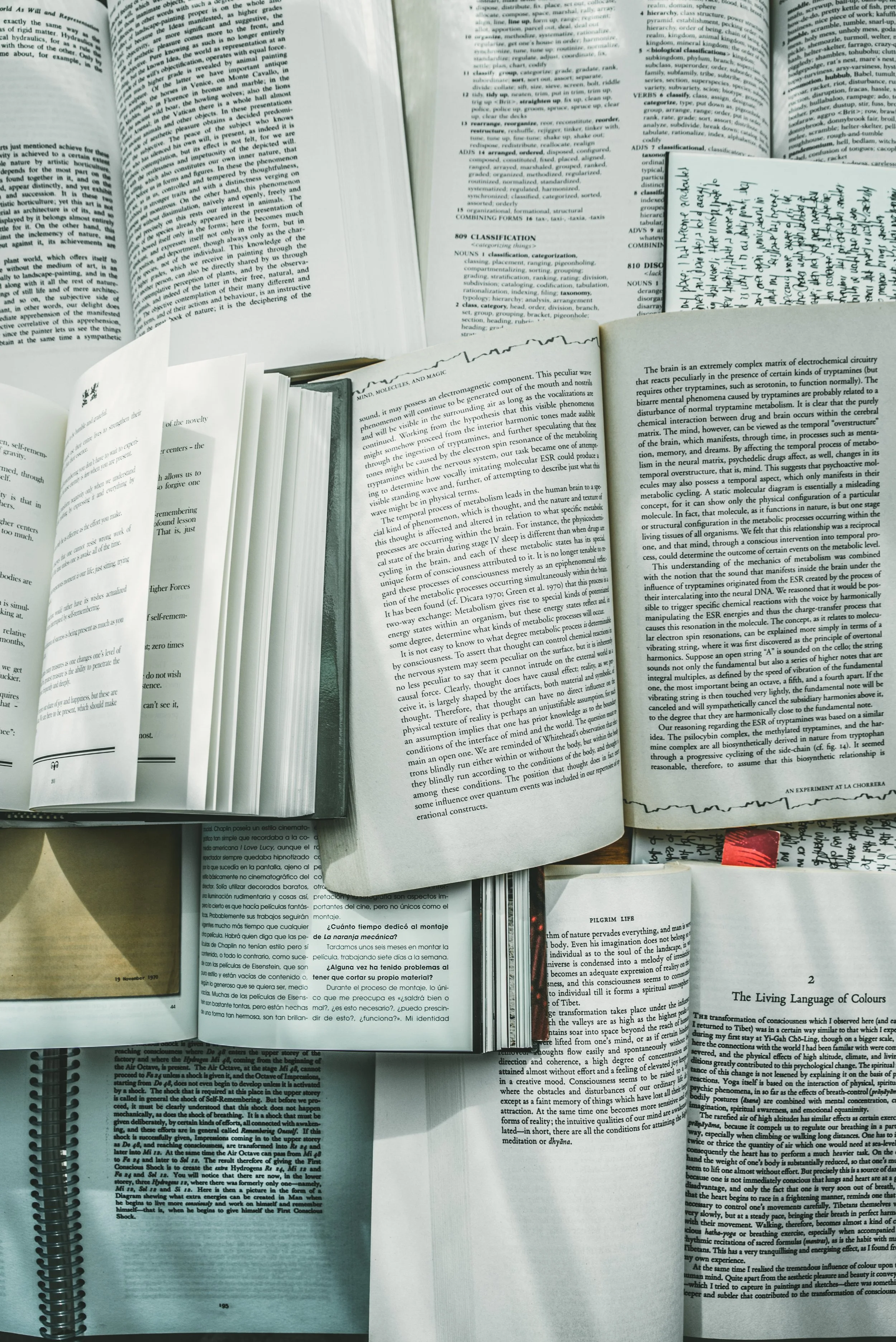 Libros abiertos representando el enfoque intelectual y la disciplina necesarios para el crecimiento profesional.