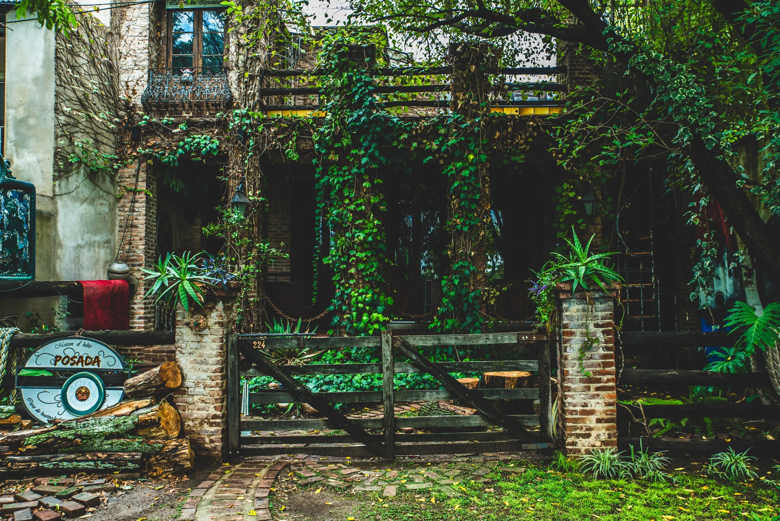 Casa de ladrillos antiguos con una puerta de madera casi completamente cubierta por plantas y enredaderas, representando cómo los síntomas de ansiedad se instalan silenciosamente en el cuerpo y la mente.