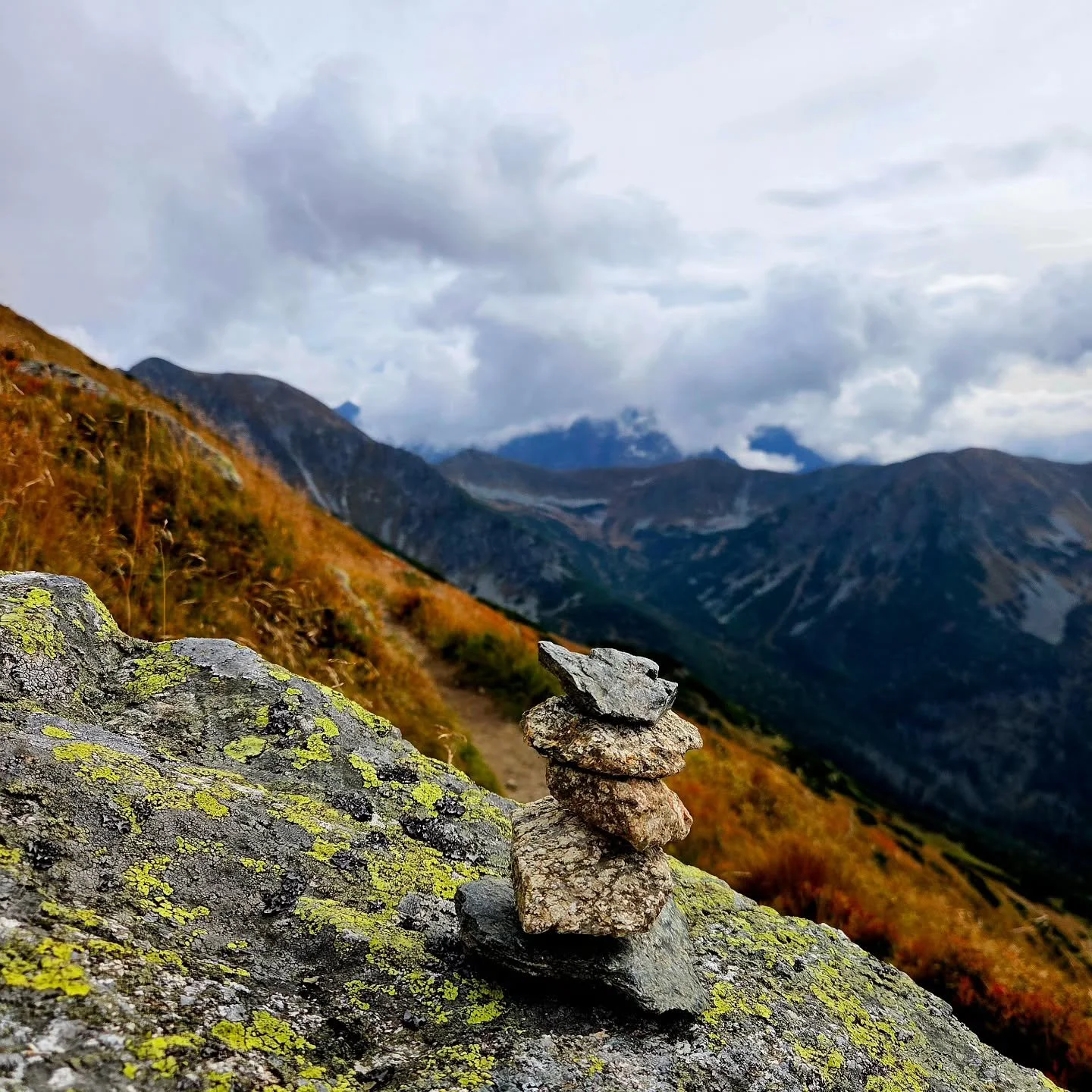 #hikingadventures #hiking #naturephotography #silence #meditative #healing

When nature calms and heals 🩷🌸