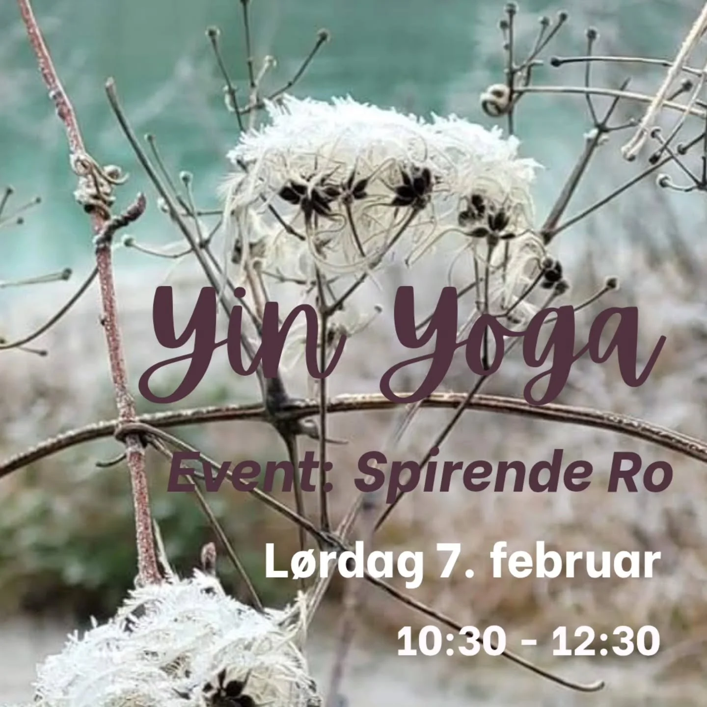 S&Aring; er det n&aelig;ste Yinfference event p&aring; plads! 🌸🩷

Link i bio ⬆️ 

Snup een af de kun 9 pladser allerede nu 🙏

Jeg gl&aelig;der mig til at se dig!

🩷 Feel - Breathe - Be 🩷

 #yinyoga #yinyogalove #selfcare #calmness #stillness