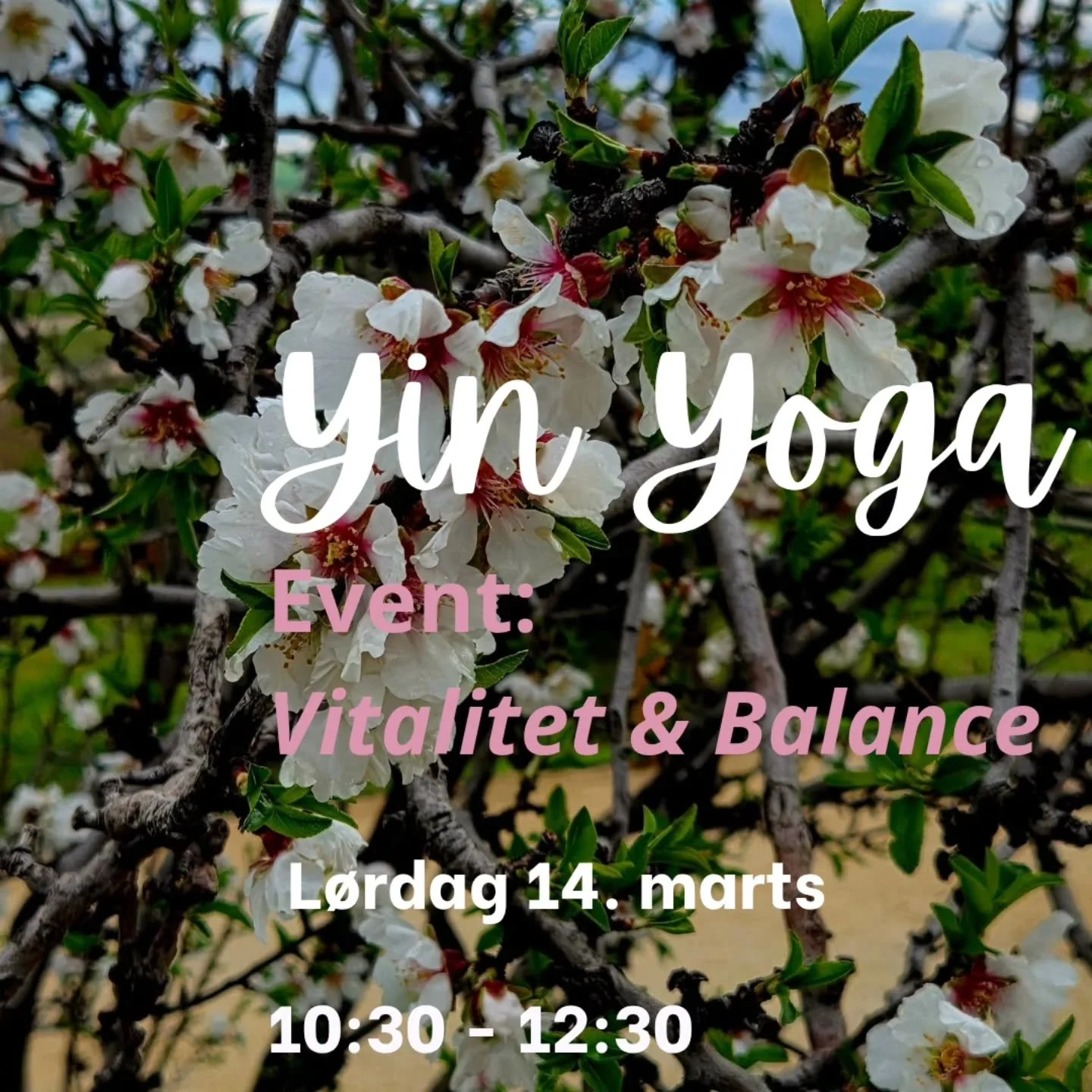 N&aelig;ste Yinfference event  er p&aring; plads! 🌸🩷

2 timers Yin yoga "Vitalitet &amp; Balance"

*** Tilmelding &aring;bner ons 11. feb. kl. 14:30 ***

Link i bio ⬆️ 

Der er, som altid, 9 pladser.

Jeg gl&aelig;der mig til at se dig!

