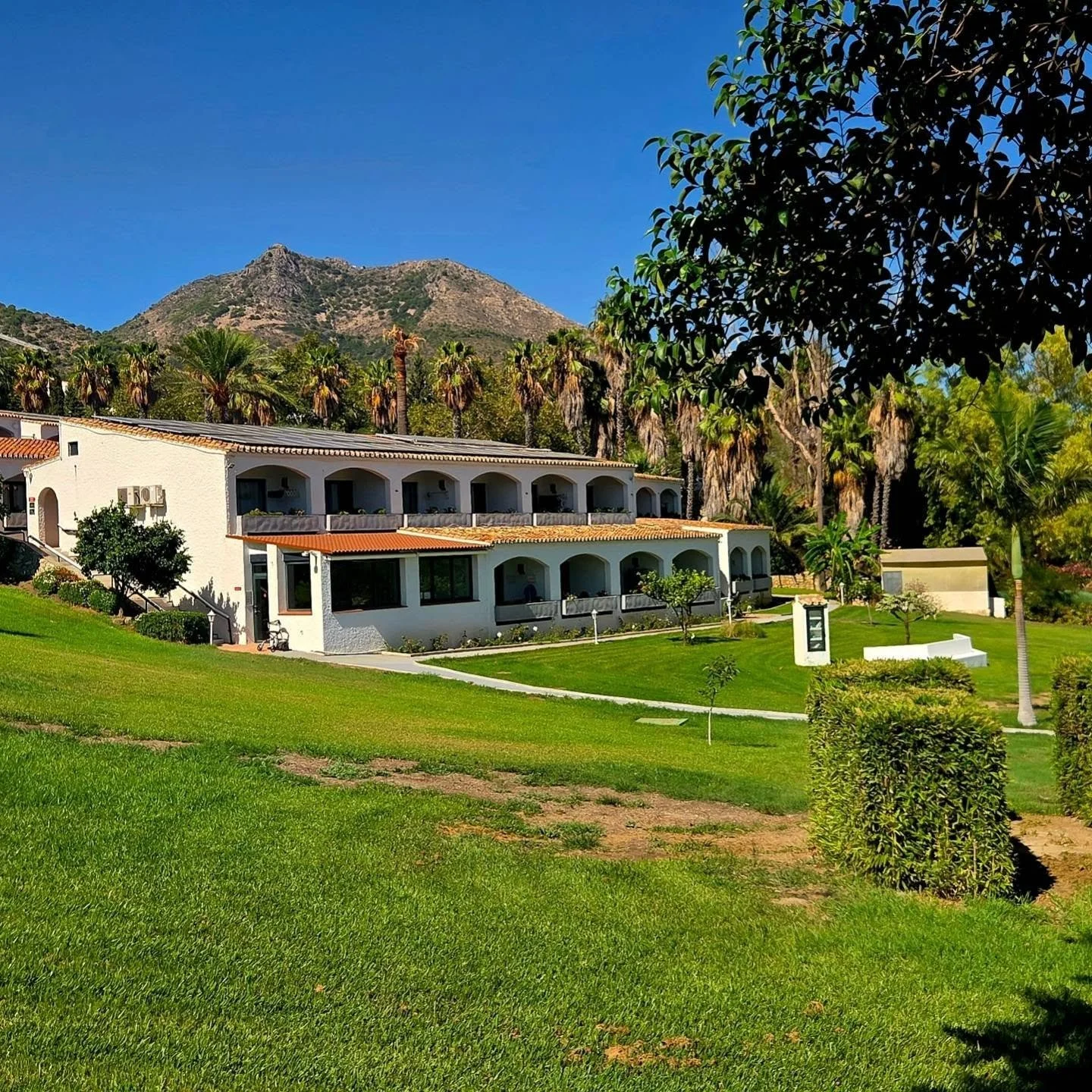 🩷 feel - breathe - be 🩷

Tre ugers specialiseret genoptr&aelig;ningsophold p&aring; Montebello er slut.

Det har v&aelig;ret MEGET varmt og fugtigt og udfordrende p&aring; flere niveauer 🥵💦🌊😬🌴
Inspirerende fysser b&aring;de p&aring; eget og tv