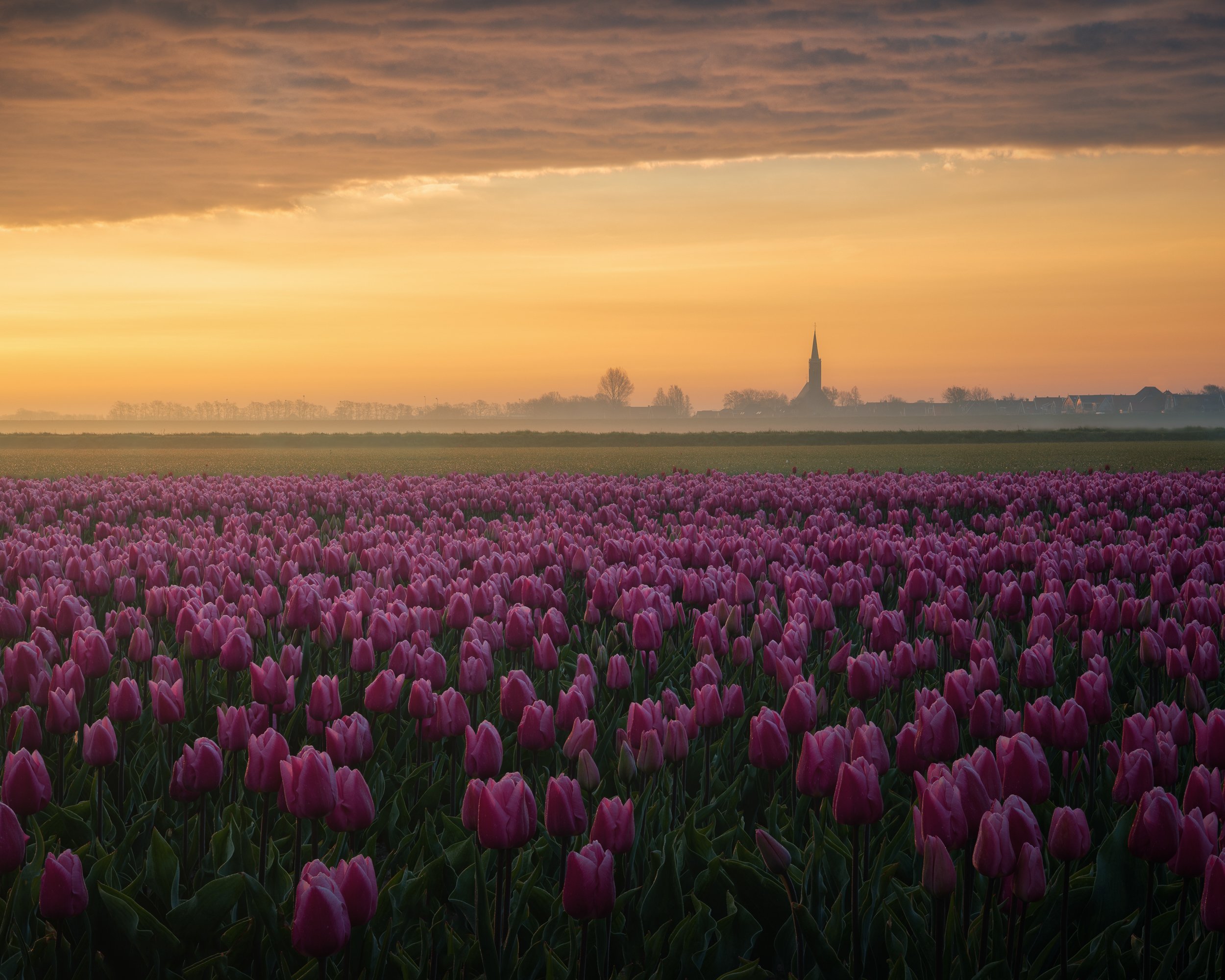kerk met tulpies-bewerkt.jpg