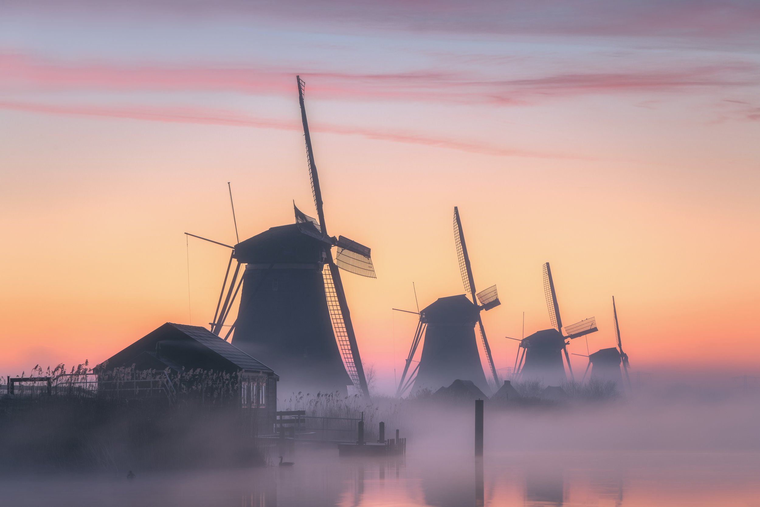 Kinderdijk in mist.jpg