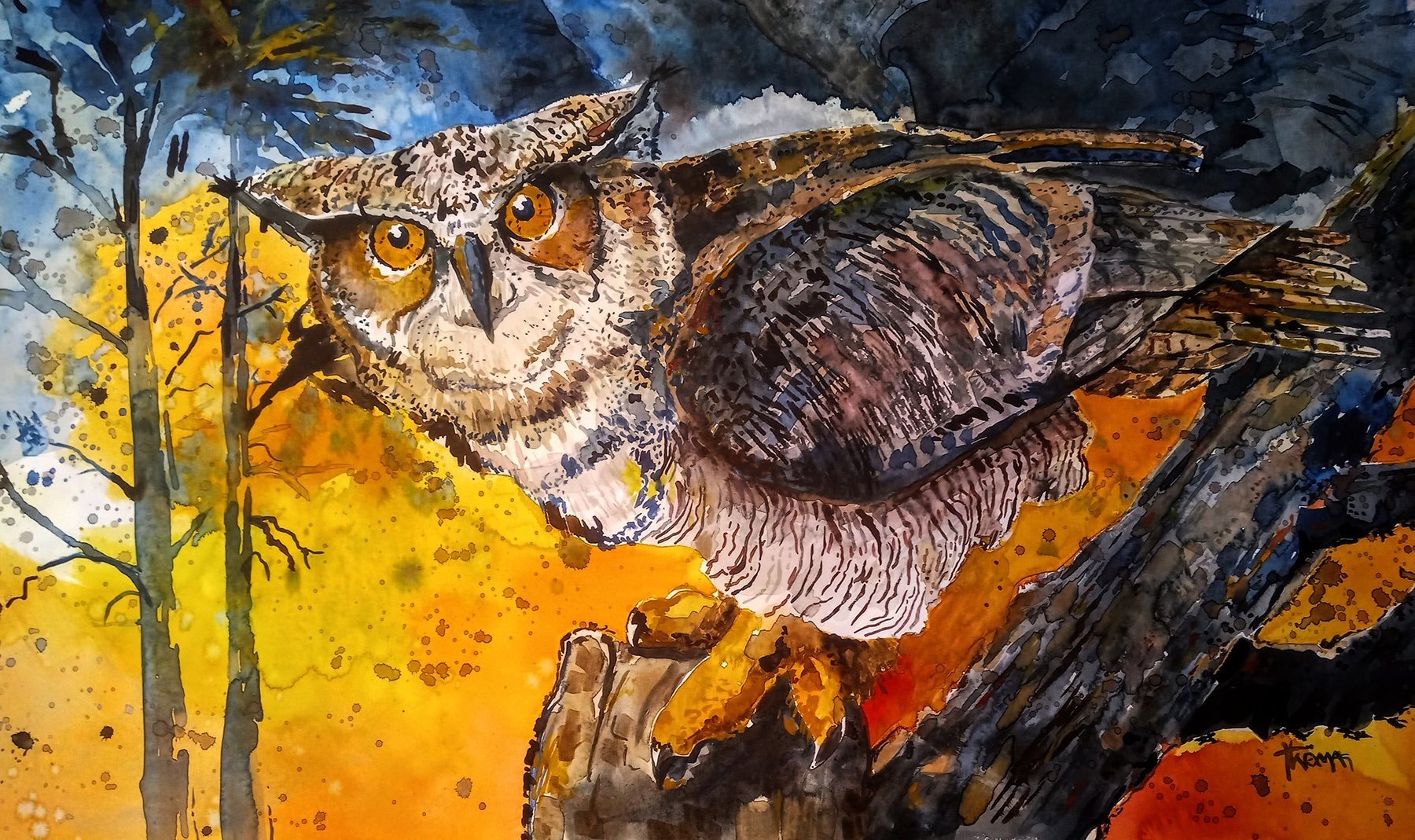 NIGHT-OWL.jpg