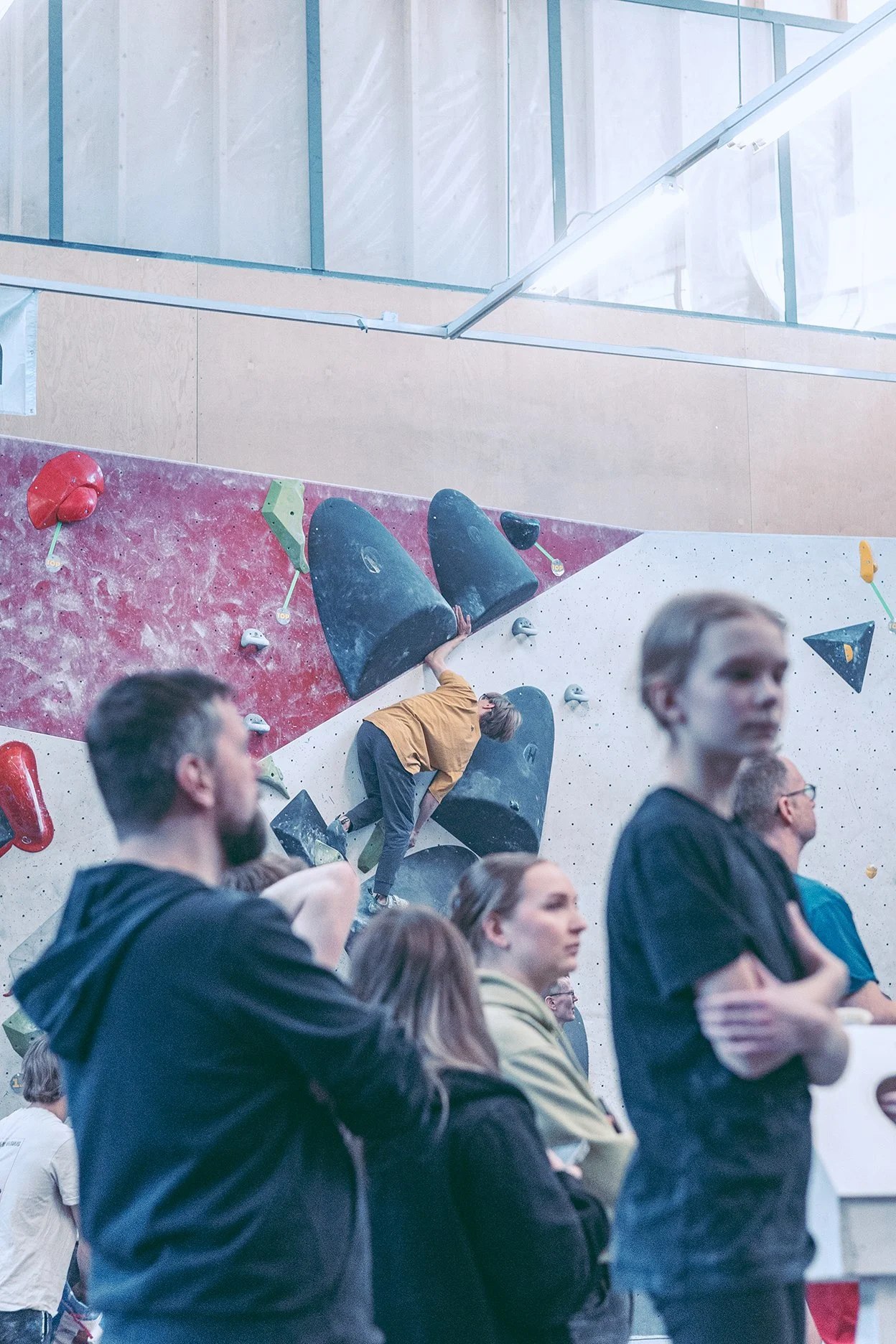 20260214-IMG_9831 copy.jpg