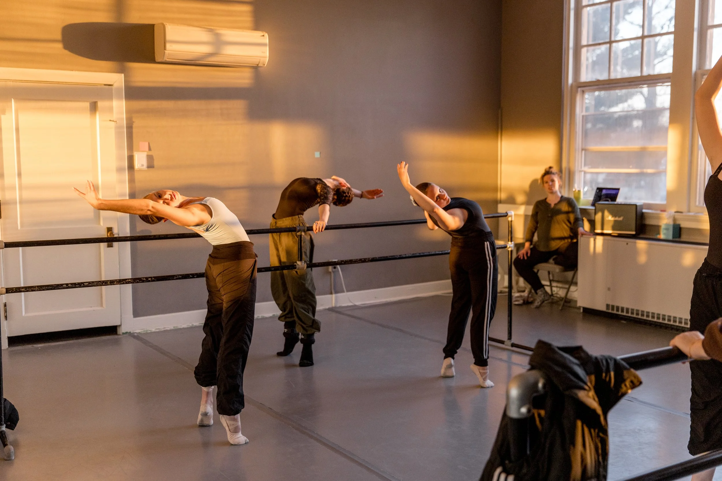 Drop-In Ballet (For Intermediate and Advanced Dancers)