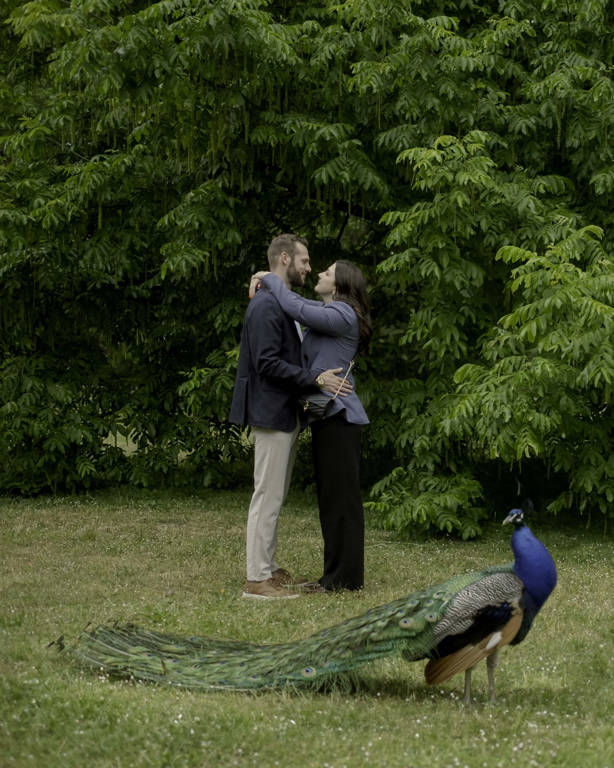 Michael &amp; Olivia's Beautiful Garden Proposal in Paris
