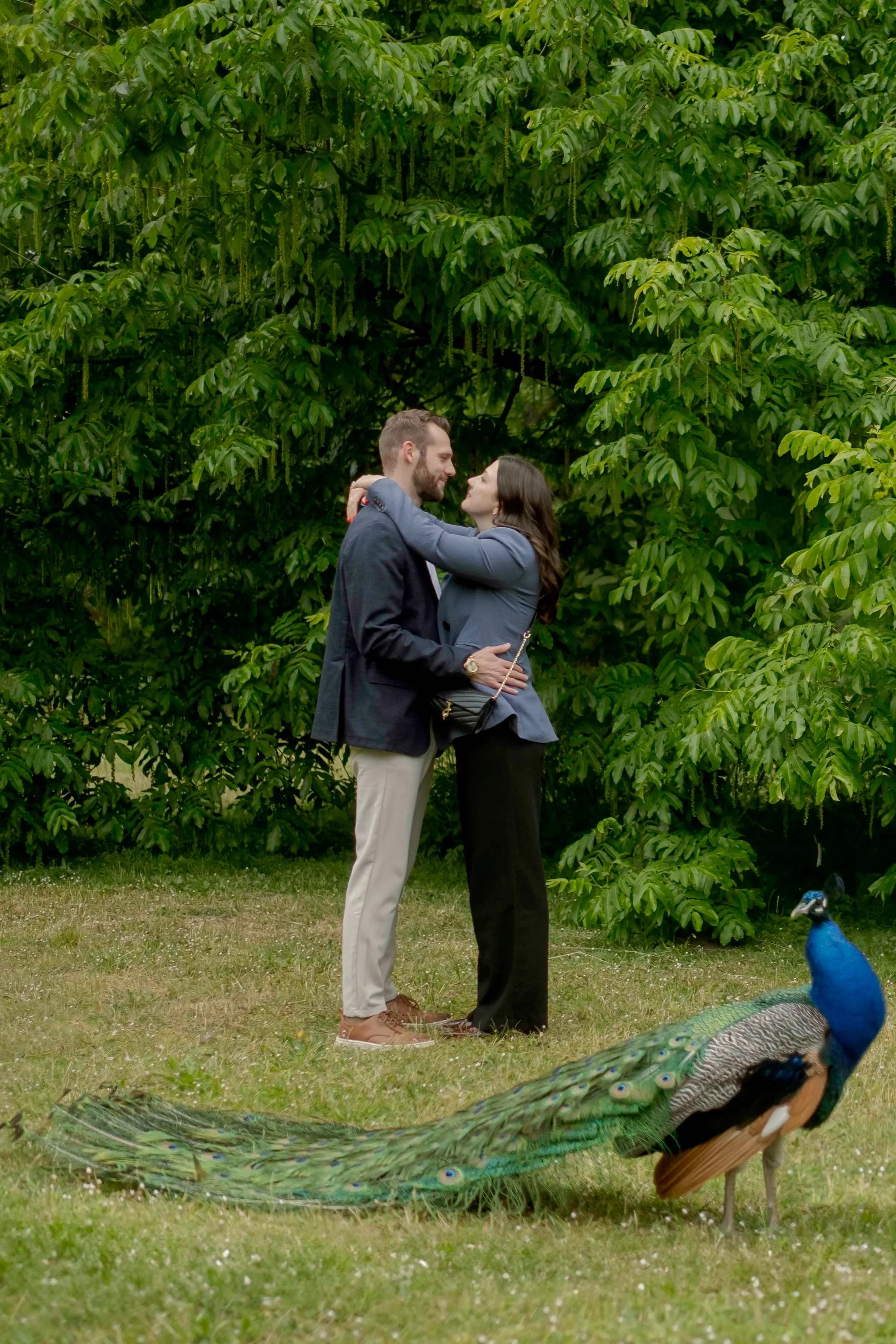 Michael & Olivia's Beautiful Garden Proposal with Peacocks