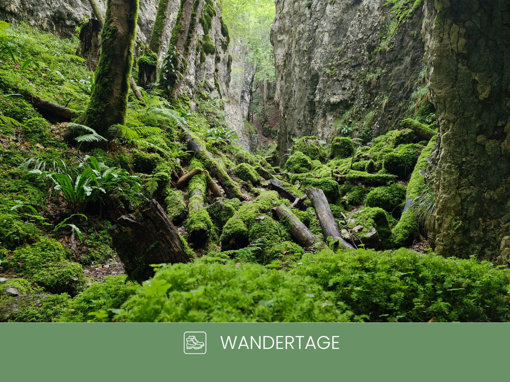 wandertage-naturpark-thal-wildtrektours.png