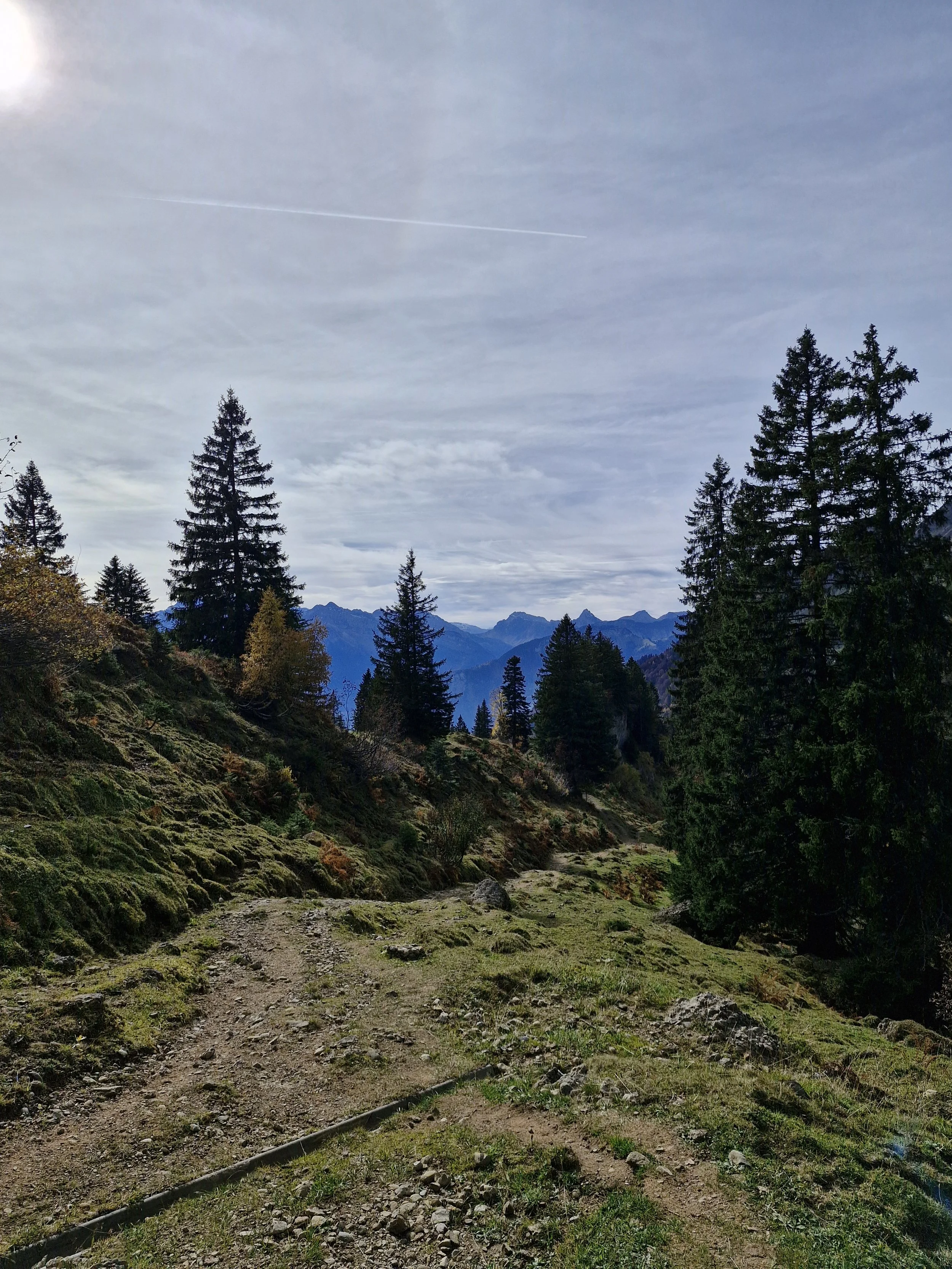 singles-wandertag-3.jpg