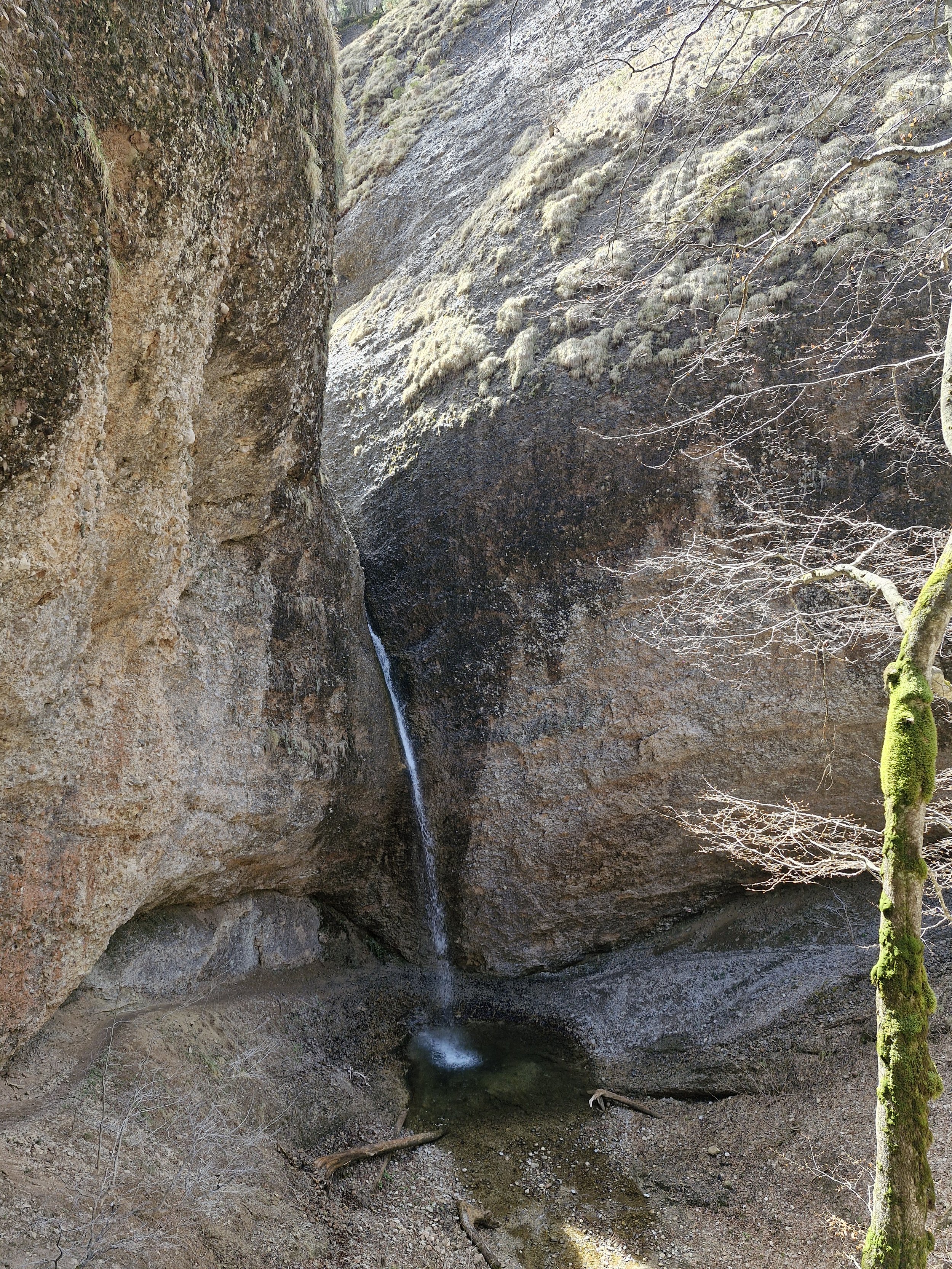 20250419_122021.jpg