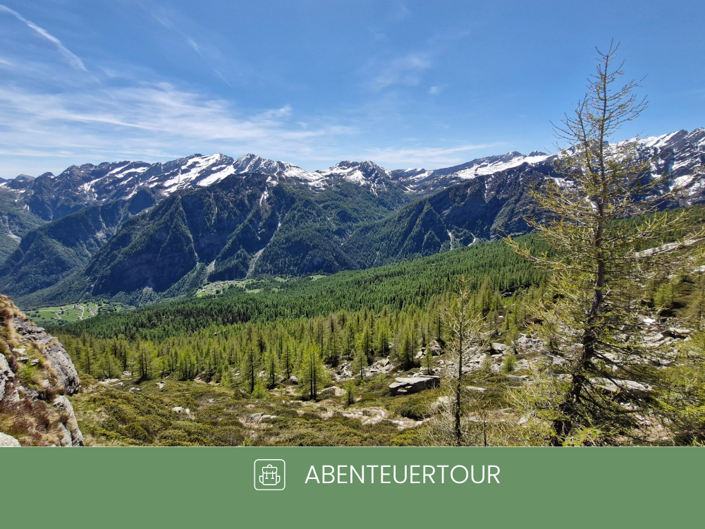 19.-22. Juni 2026: 4 Tage Maggiore Trekking (TI)